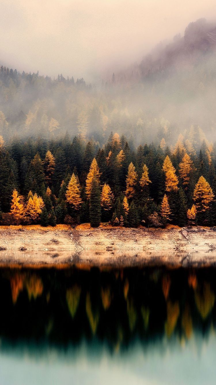  iPhone. Autumn landscape, Landscape wallpaper, Fall wallpaper