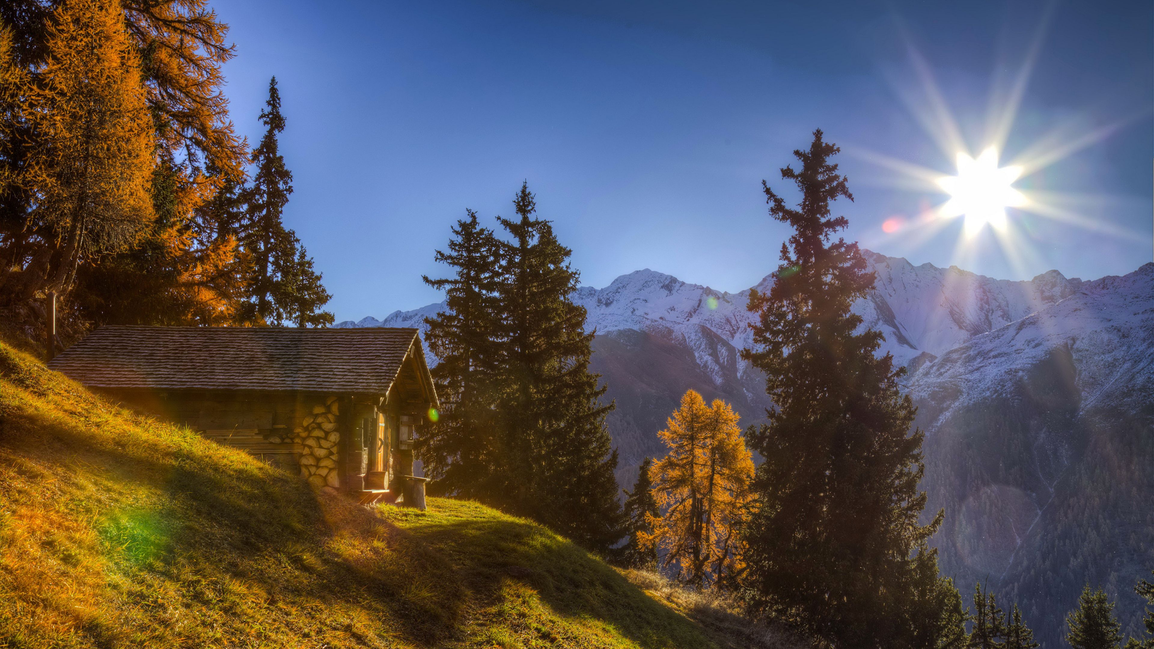 Photo Alps Switzerland Sun Spruce Autumn Nature Mountains 3840x2160