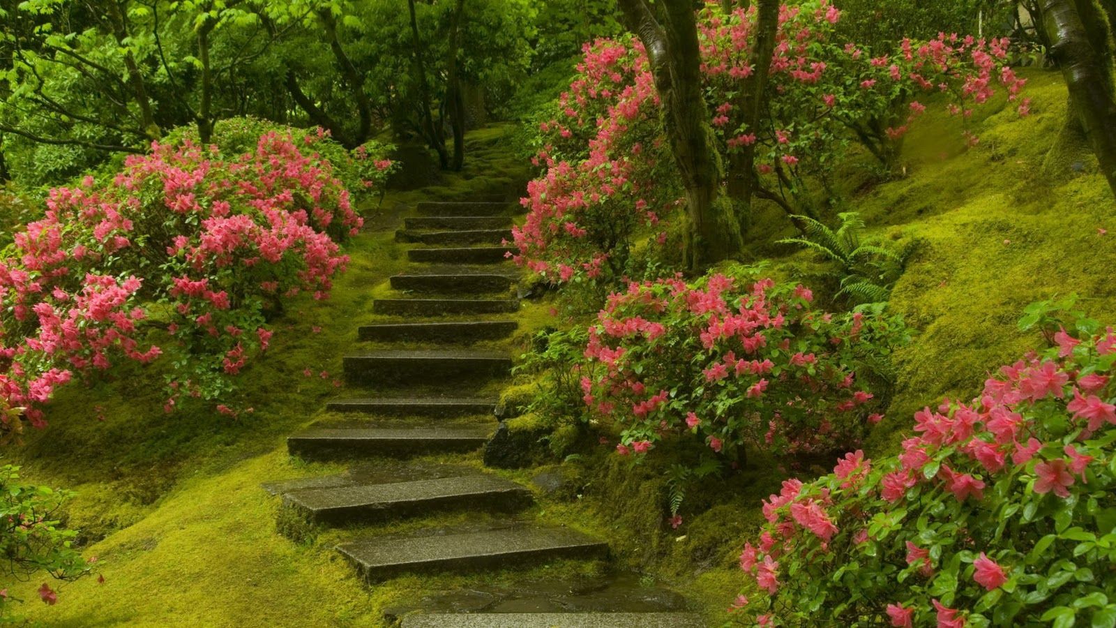 Beautiful Walkway Wallpapers - Wallpaper Cave