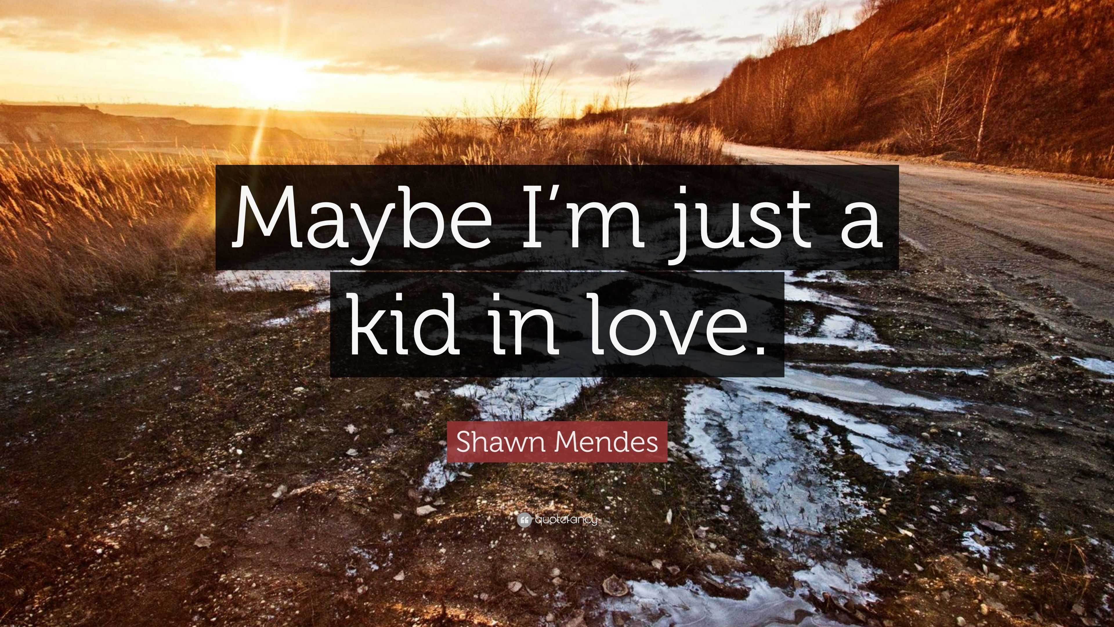 Shawn Mendes Quote: “Maybe I'm just a kid in love.” (12 wallpaper)