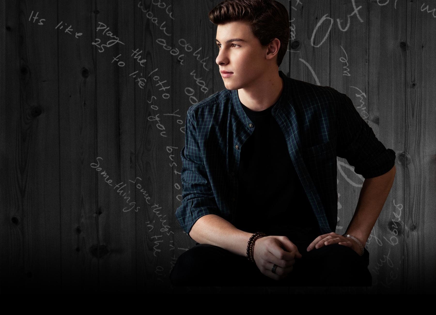 Shawn Mendes Background