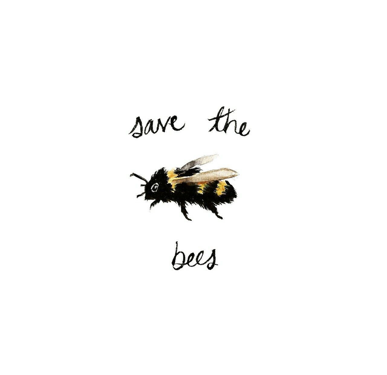 Save the Bees Wallpaper Free Save the Bees Background