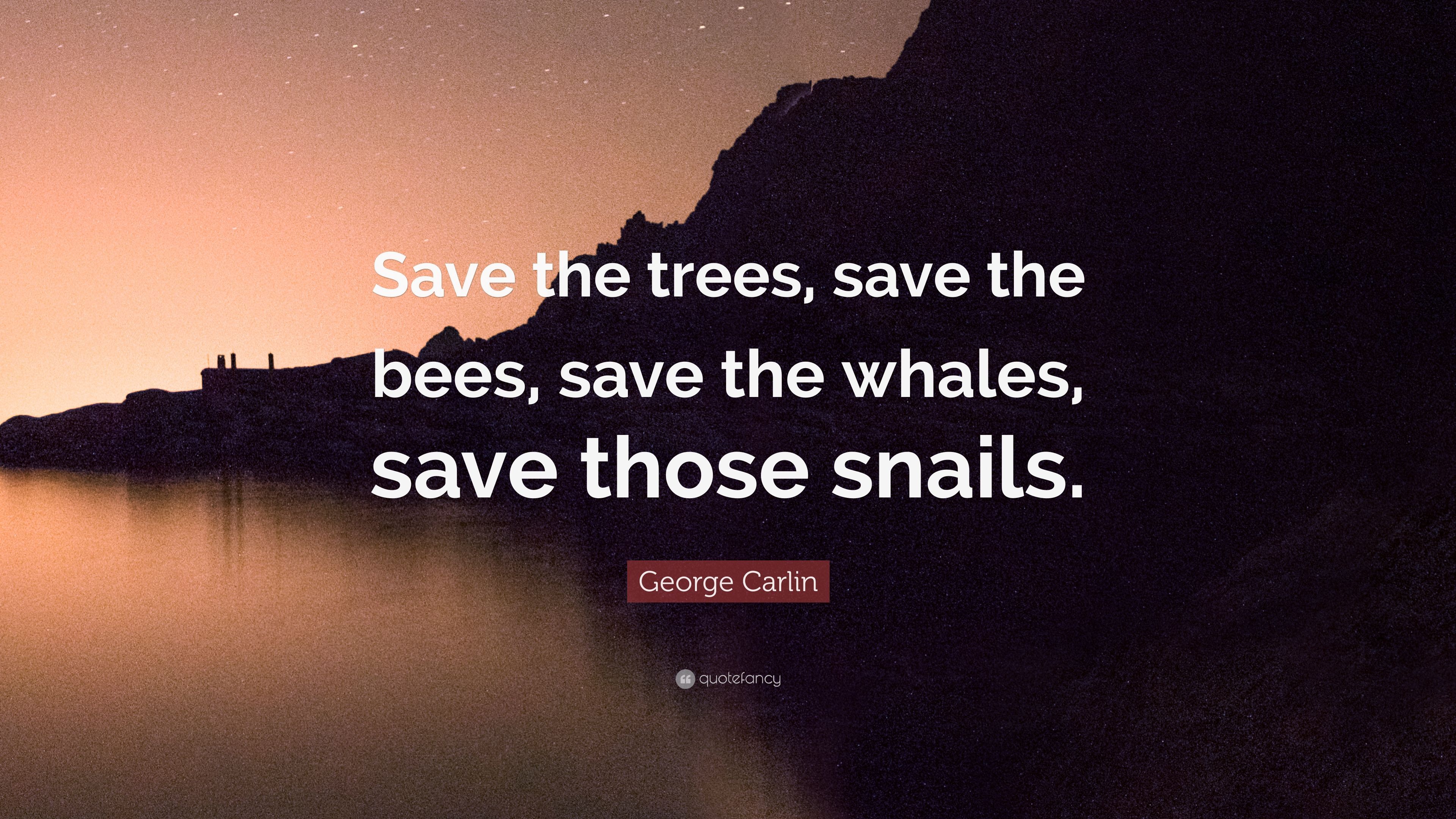 George Carlin Quote: “Save the trees, save the bees, save the whales, save those snails.” (7 wallpaper)