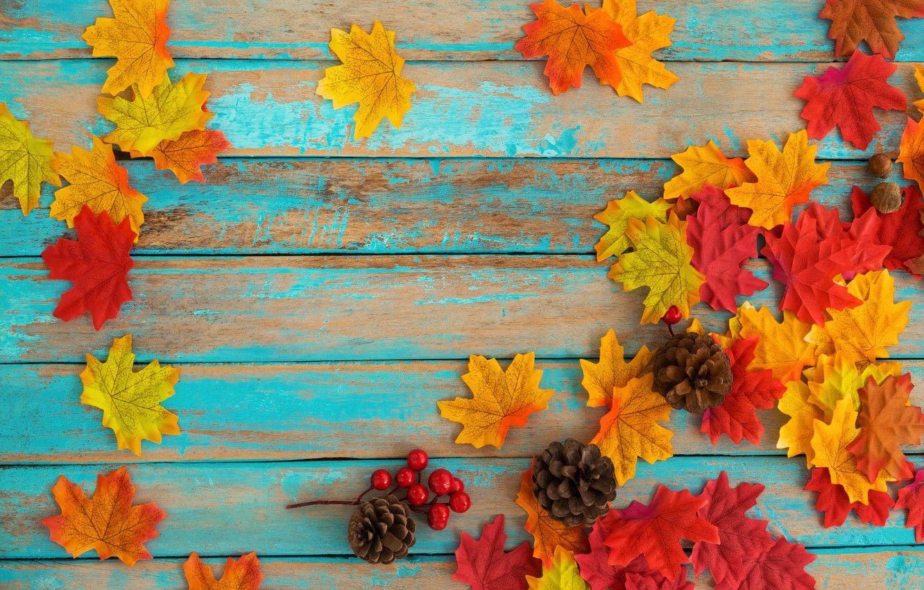 Wallpaper autumn, leaves, background, tree, colorful, vintage, wood, background, autumn, leaves, maple image for desktop, section текстуры