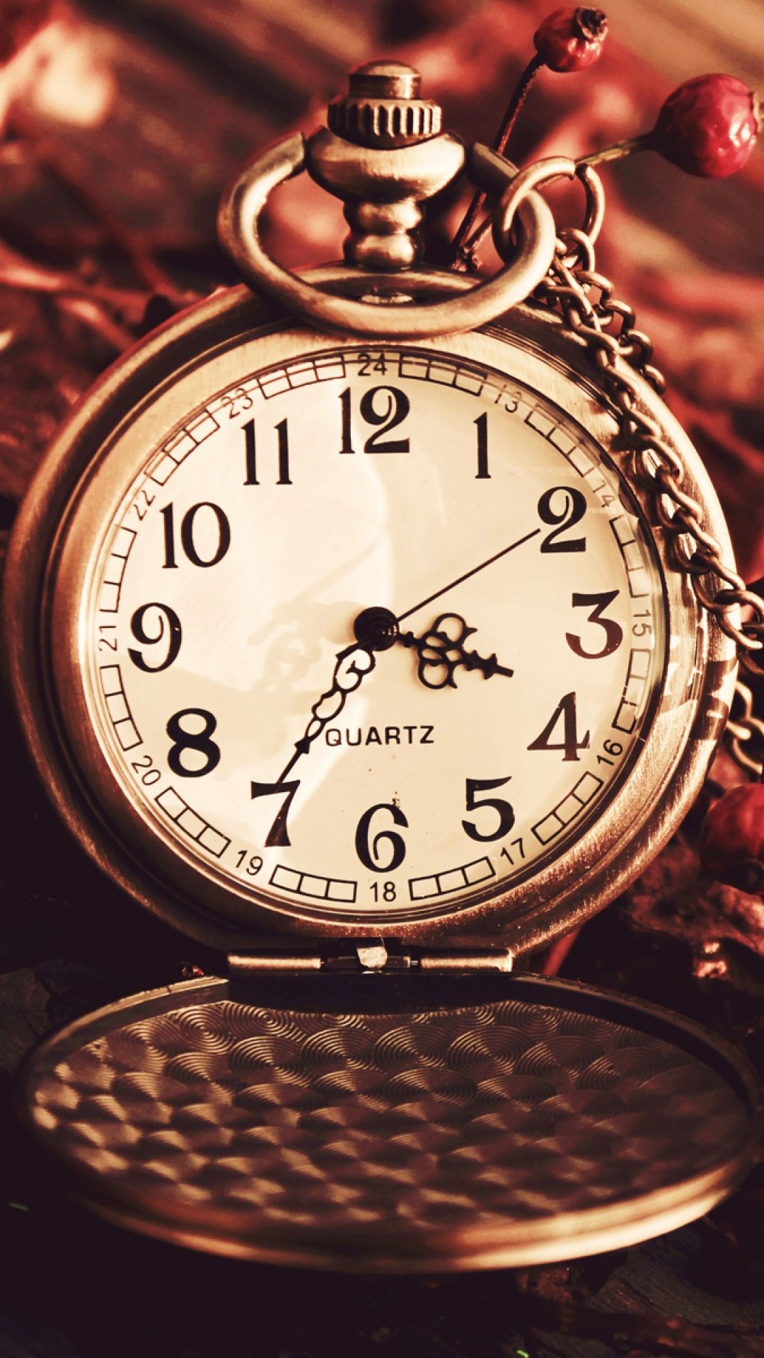 Vintage Watch Pocket Macro Autumn Berries Dry Chain Dial iPhone 8 Wallpaper Free Download