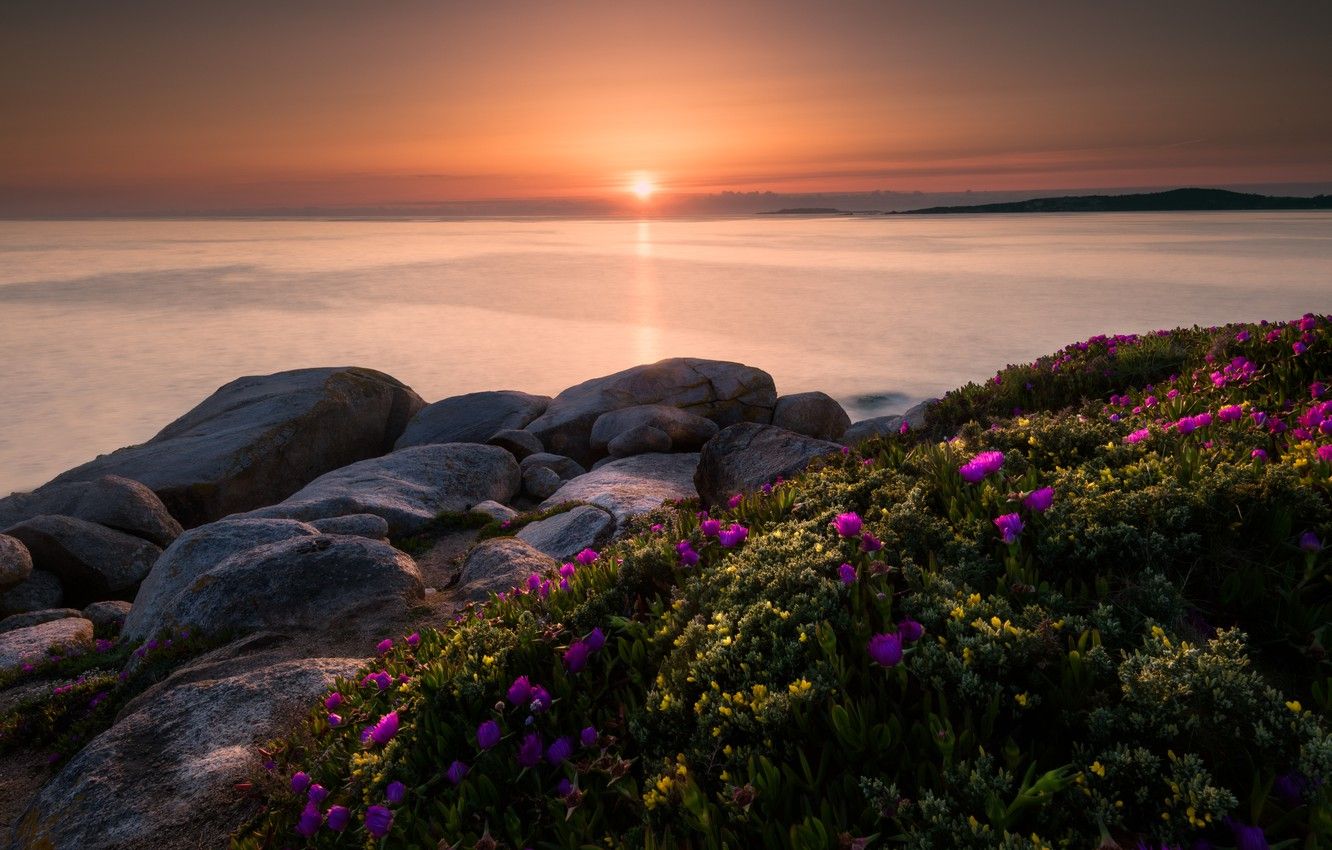 Wallpaper sea, summer, the sky, the sun, light, sunset, flowers, stones, dawn, shore, beauty, pink, Spain, flowering image for desktop, section пейзажи