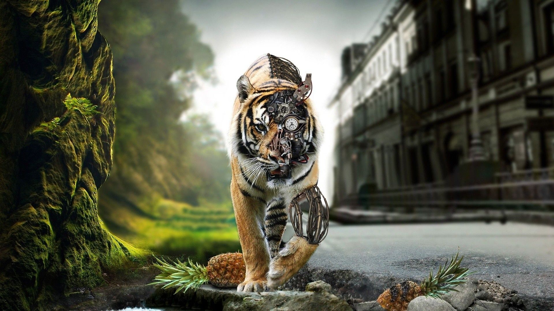 animals, fantasy art, tiger wallpaper