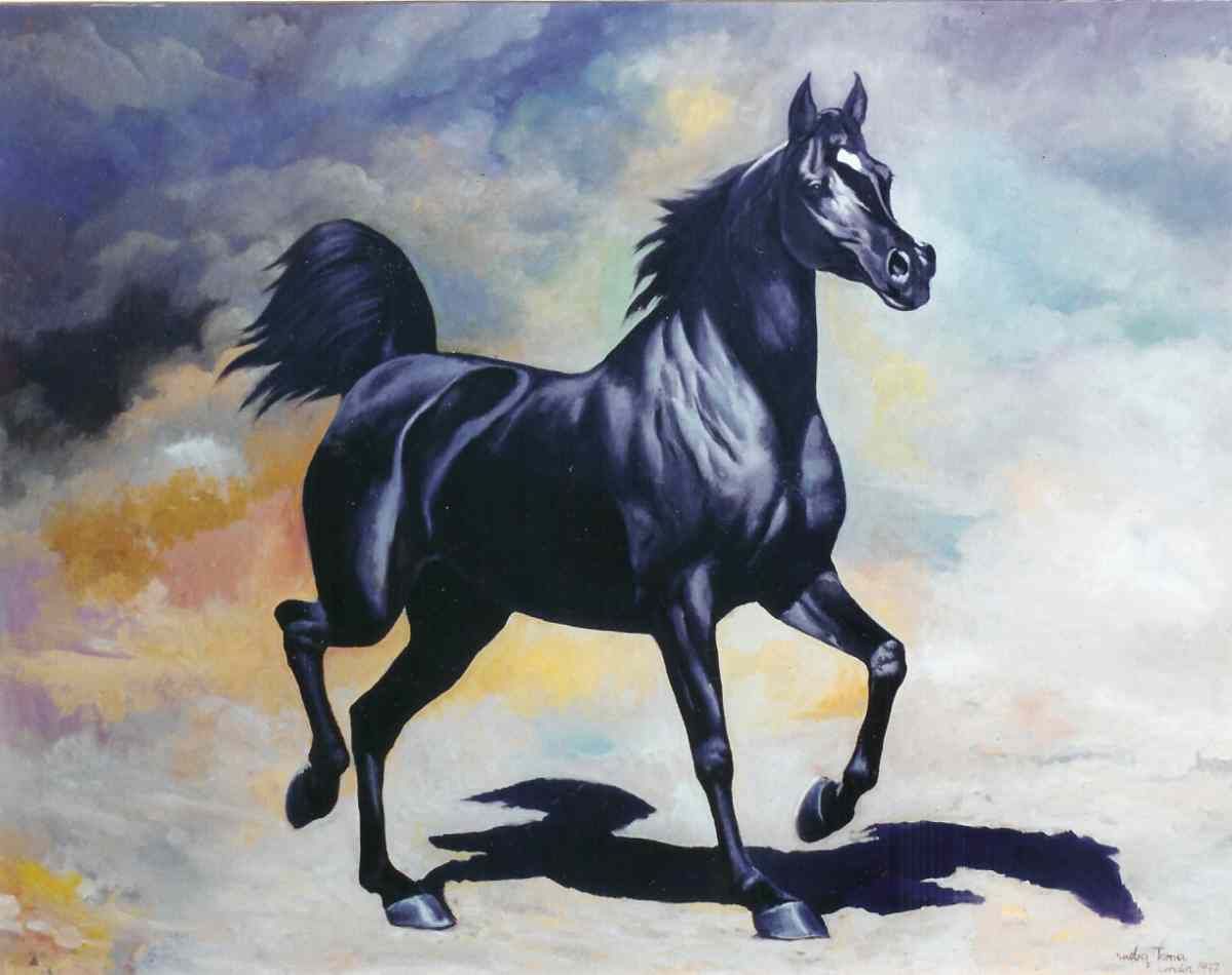 Beautiful Horses Wallpaper for Desktop. Horse wallpaper, Horses, Arabian horse art