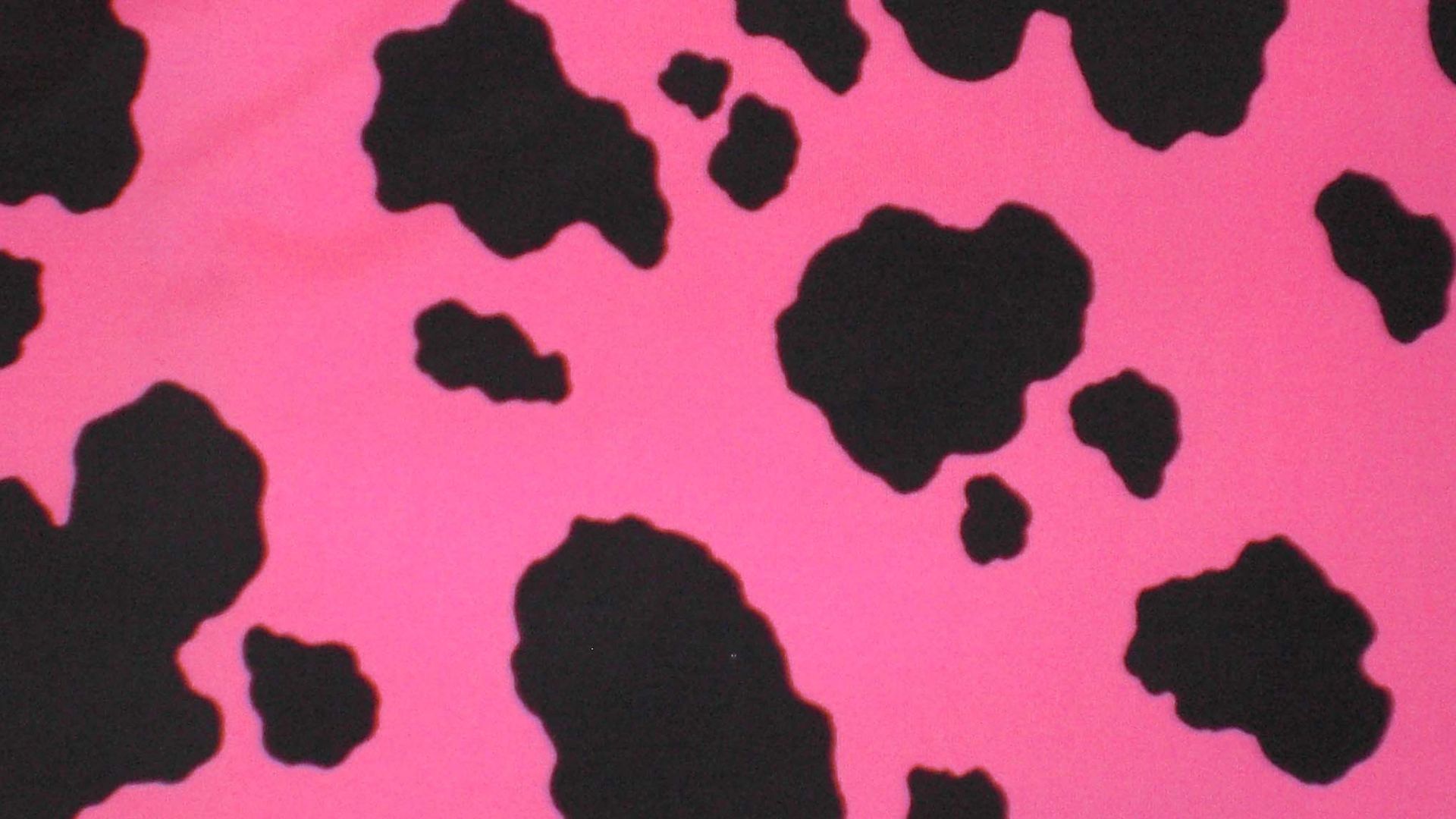 Free download Pink And Brown Cow Print Backgrounds [2040x1564] for your Desktop, Mobile & Tablet