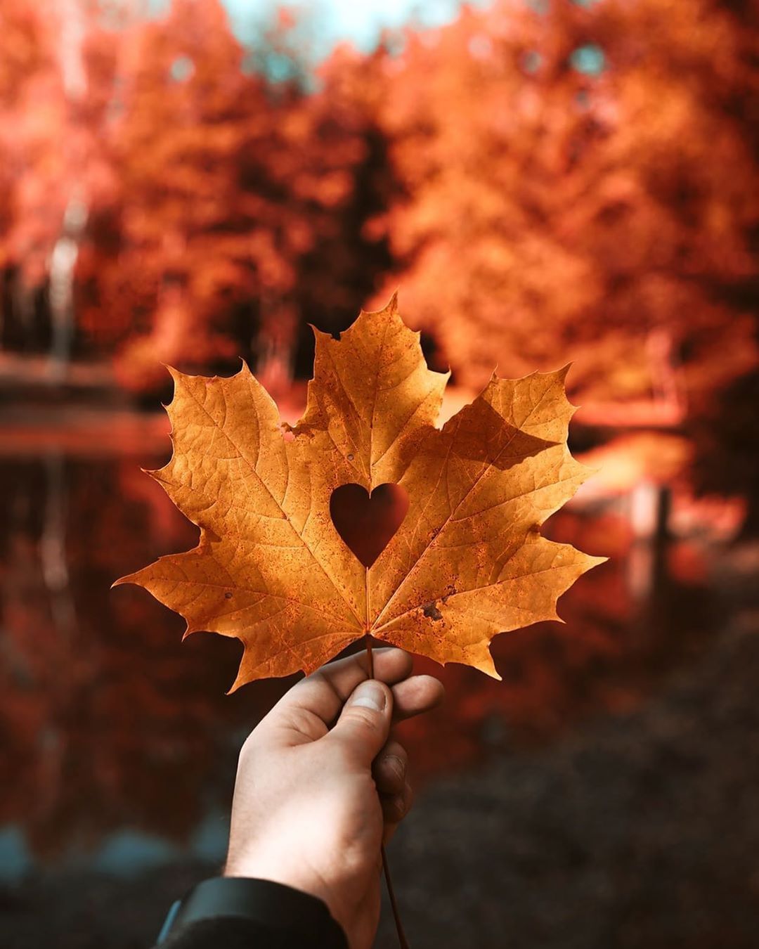 Aυƚυɱɳαʅ on Instagram: “Autumn has my heart