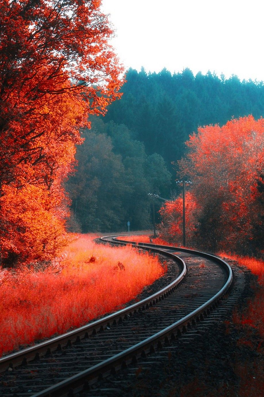 Orange autumn railway track wallpaper Mobile Walls