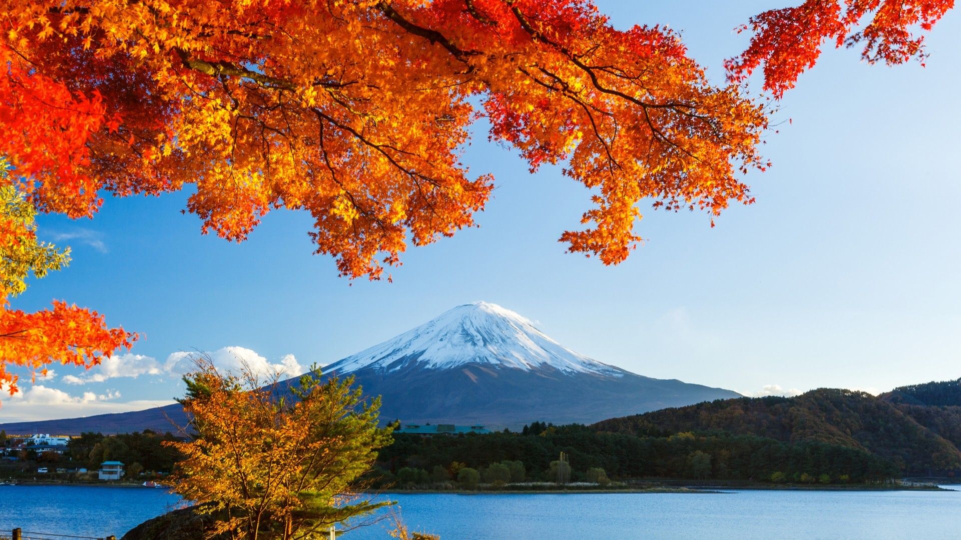 Autumn trees winter mountain