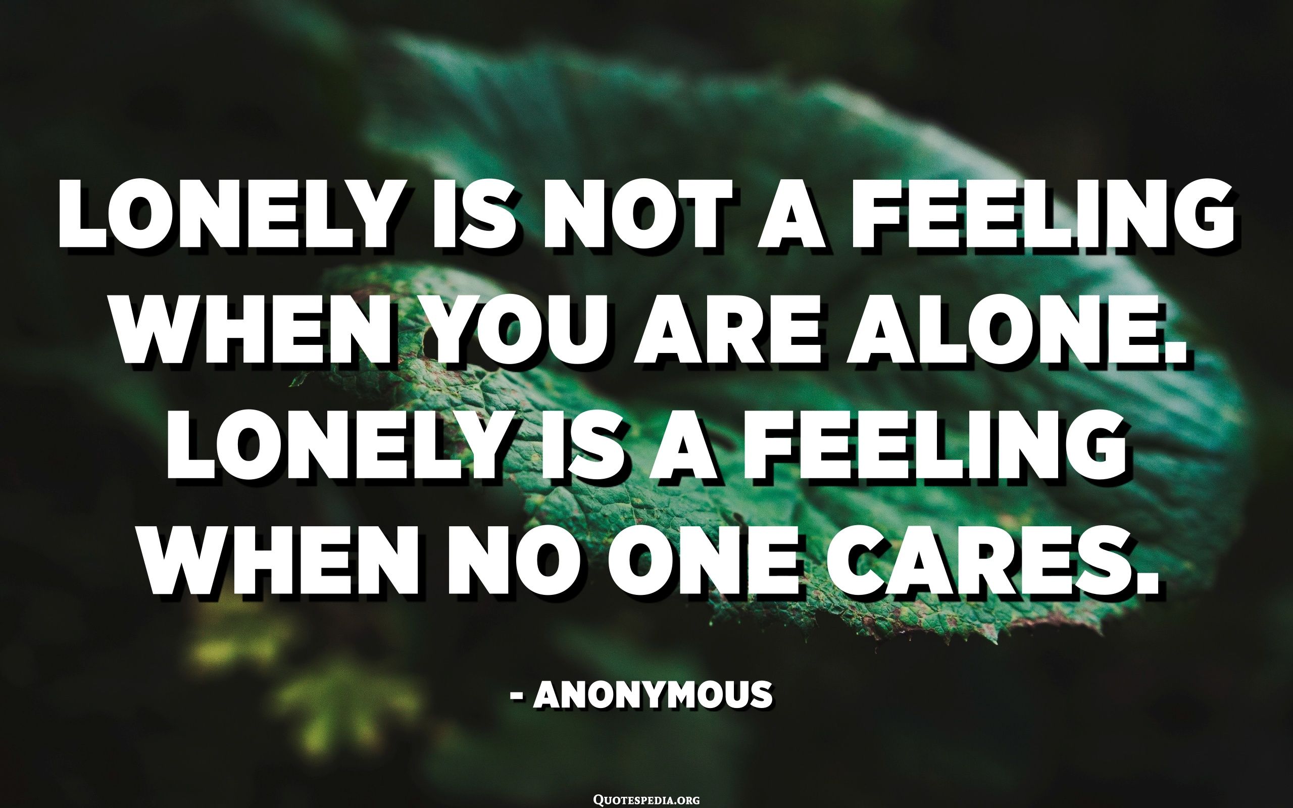 Lonely is not a feeling when you are alone. Lonely is a feeling when no one cares