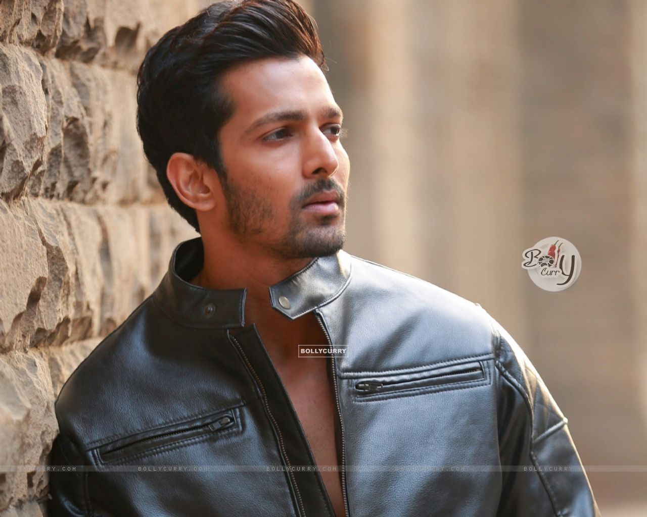 Wallpaper Rane size:1280x1024