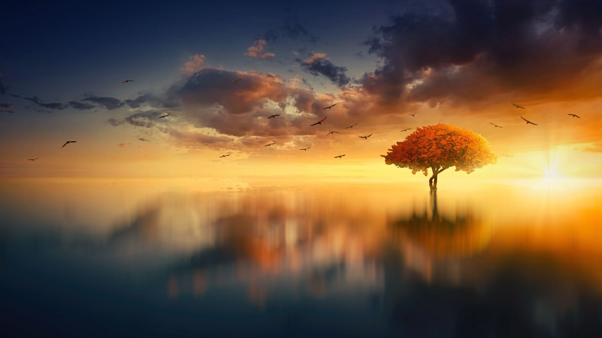 Calm Water Aesthetic Free Transparent Image HD