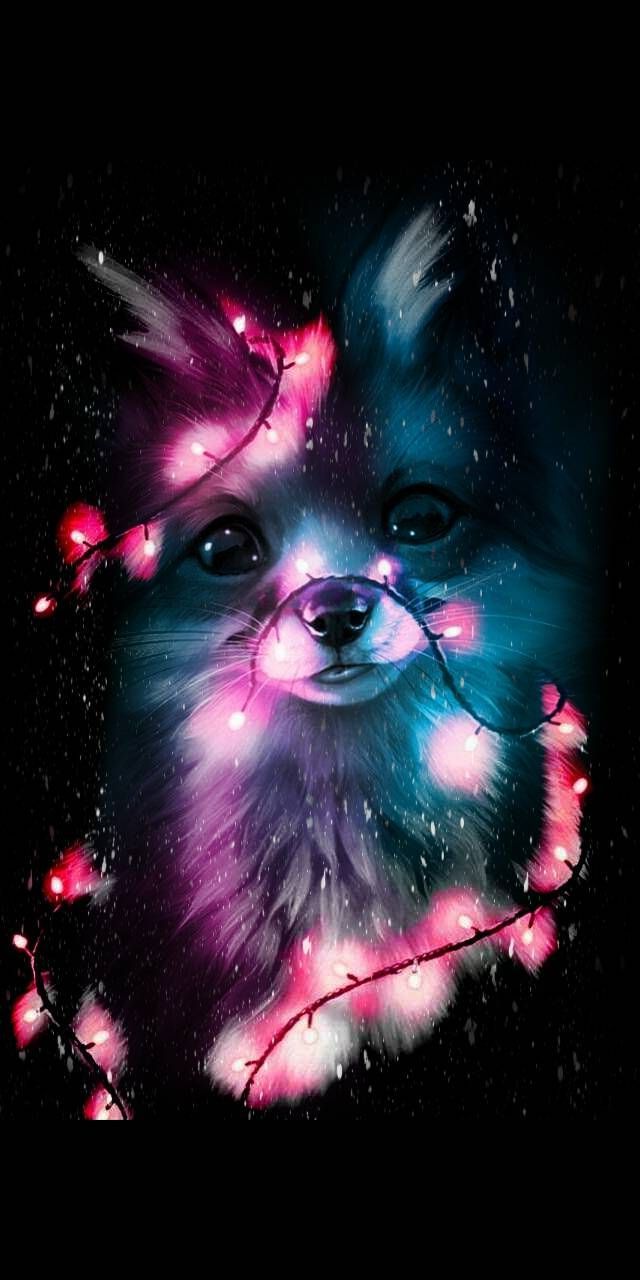 Neon lights fox wallpaper. Animal wallpaper, Cute baby animals, Cute animal drawings