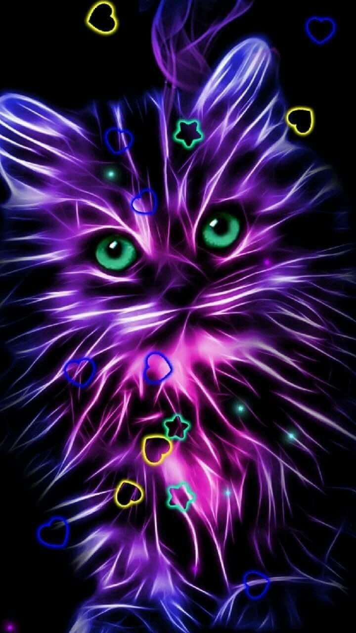 color. Neon cat, Animal wallpaper, Neon wallpaper