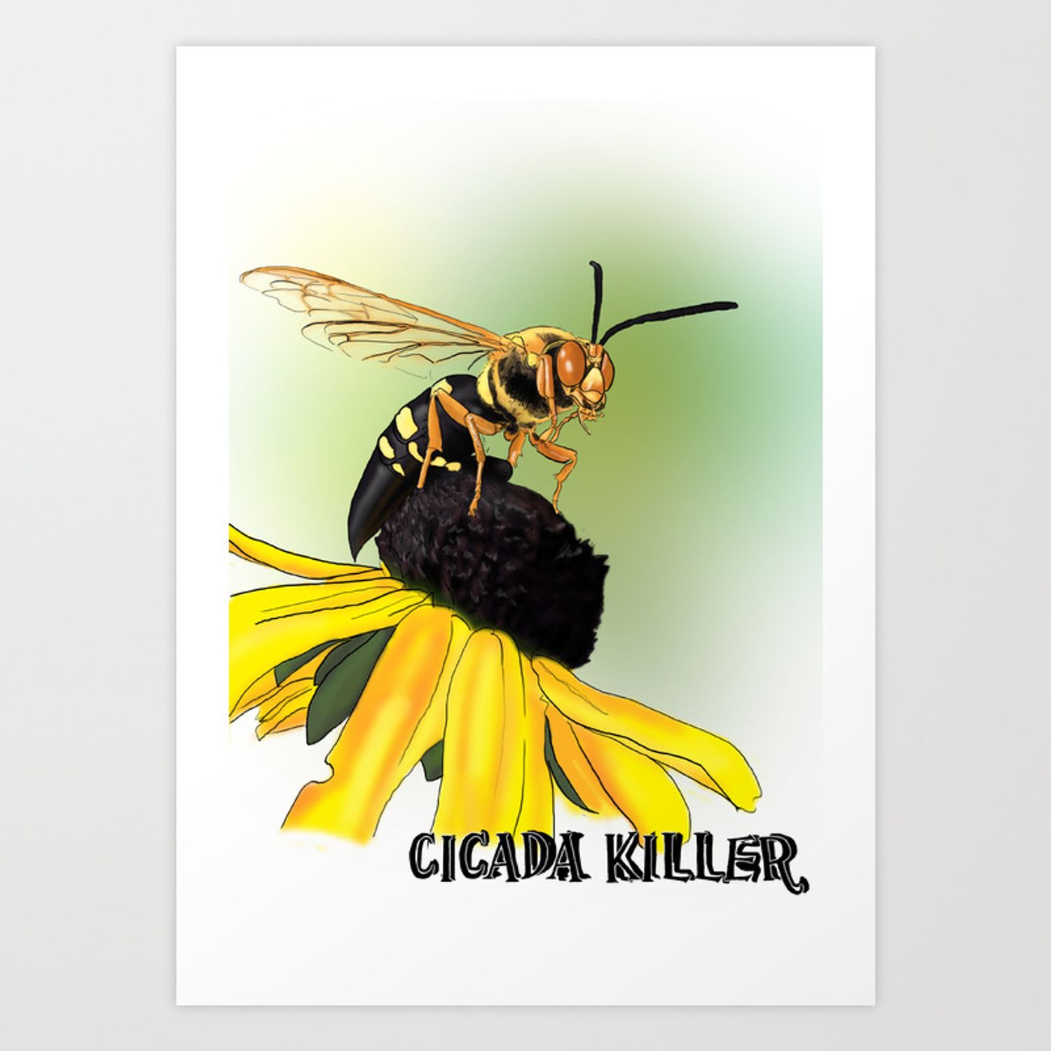 Cicada Killer Art Print
