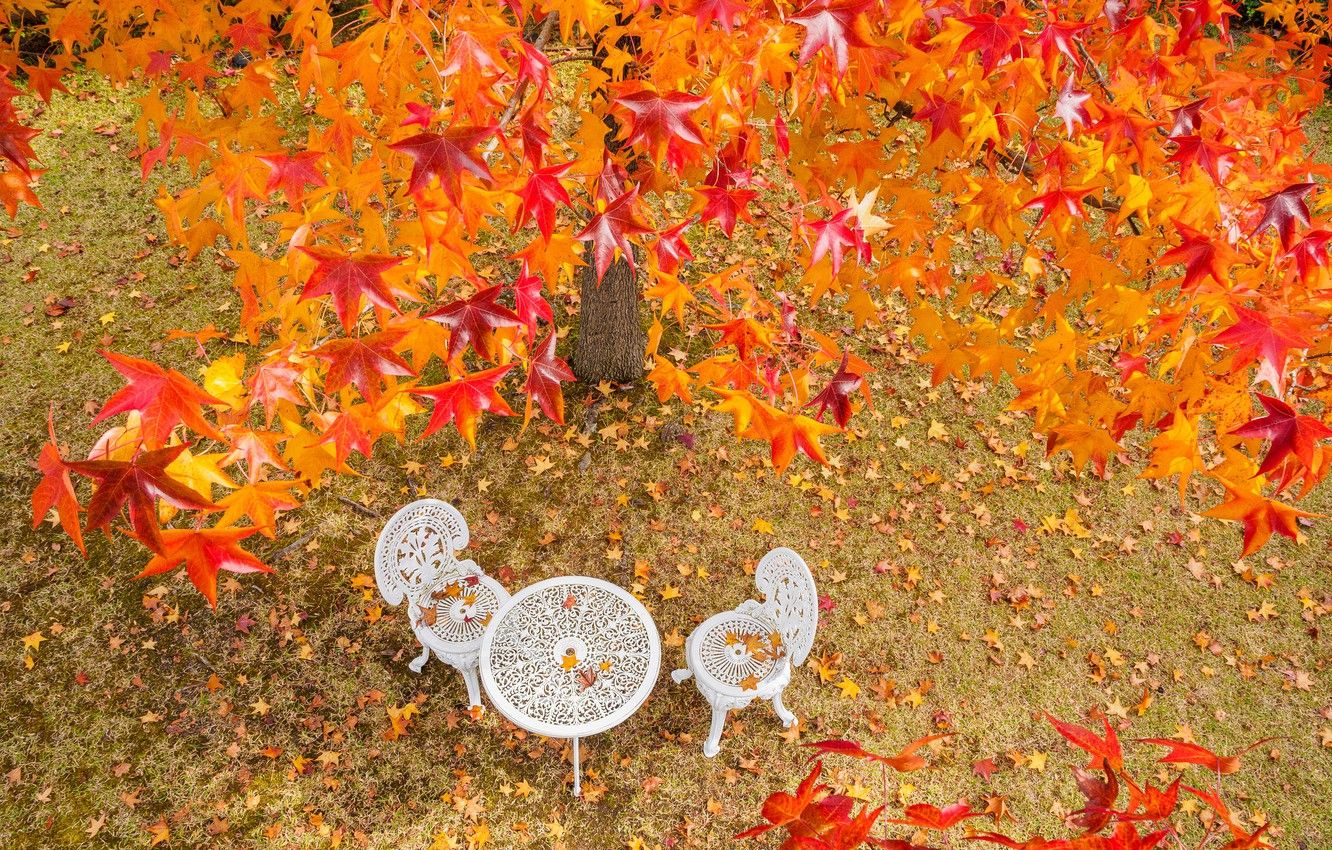 Wallpaper sadness, autumn, leaves, Park, table, tree, chairs, Japan, garden, the crimson image for desktop, section природа