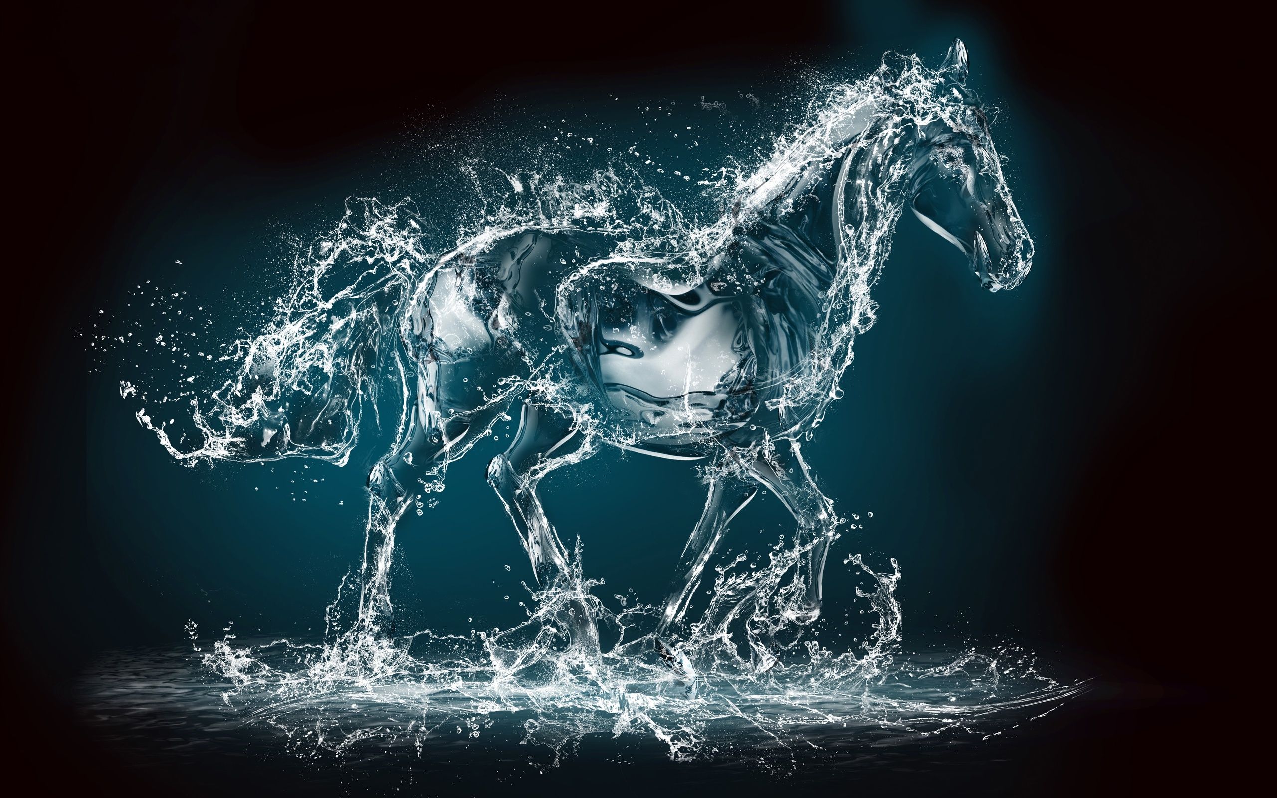 Spray horse rendering animal wallpaperx1600