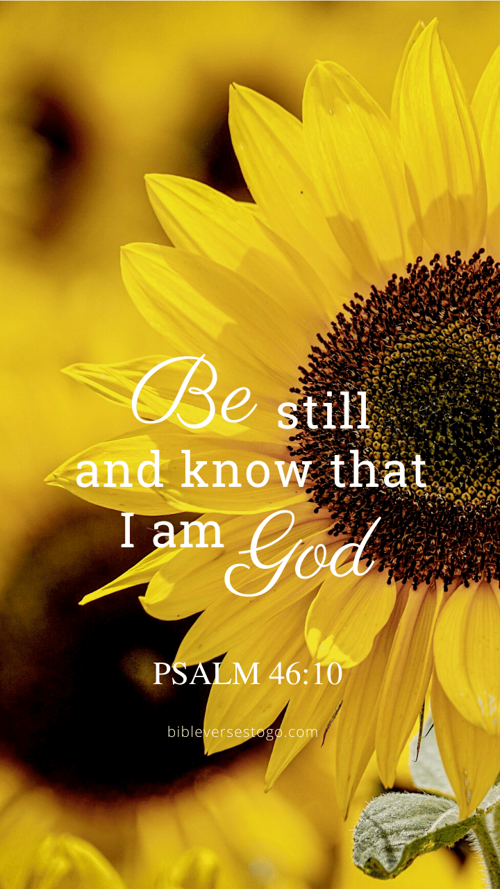 Sunflower Bible Verse Wallpapers – Bible Verses To Go