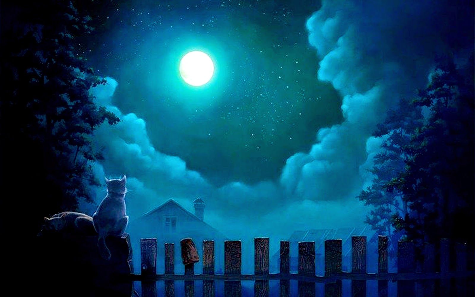 Beauty of moonlight at night sky near sea poetic nature image