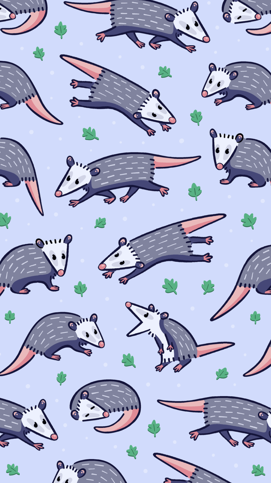 Wallpaper. Opossum, Wallpaper, Possum