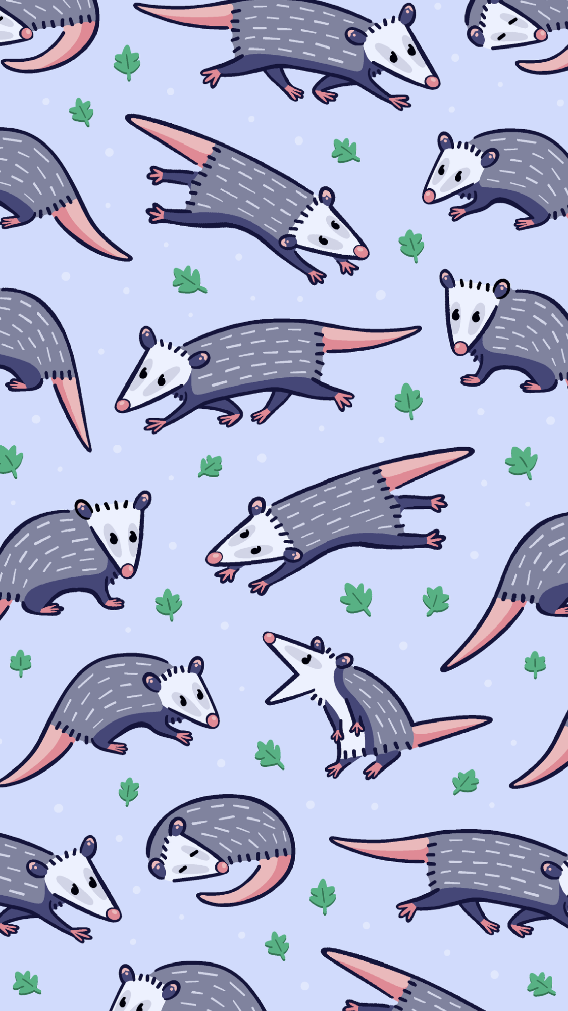 Possum Wallpapers - Wallpaper Cave