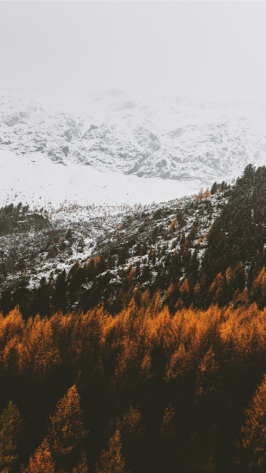 Nature #Orange white #wallpaper. Foggy forest, Mountains in italy, Nature