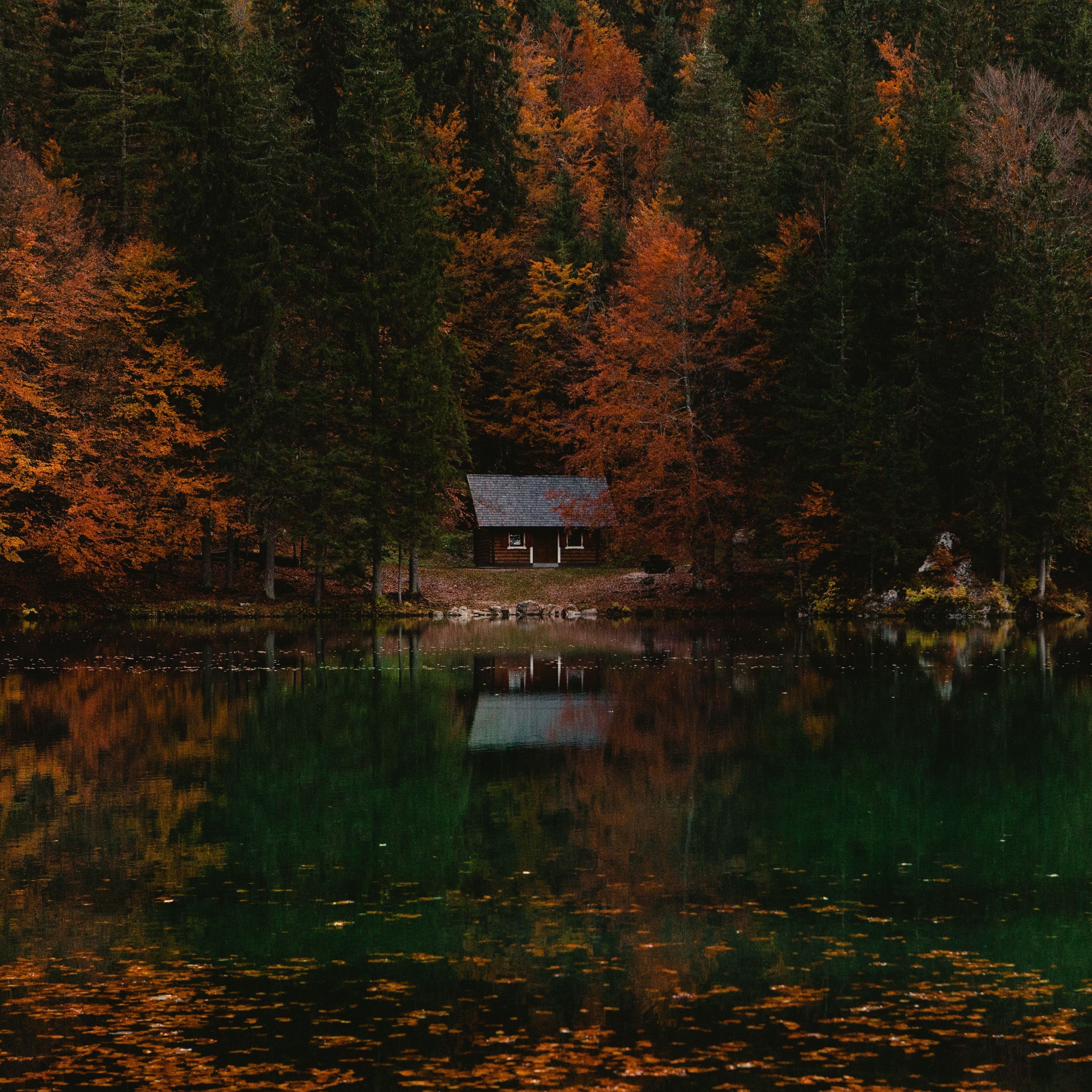 Download wallpaper 2780x2780 forest, house, autumn, lake, italy ipad air, ipad air ipad ipad ipad mini ipad mini ipad mini ipad pro 9.7 for parallax HD background