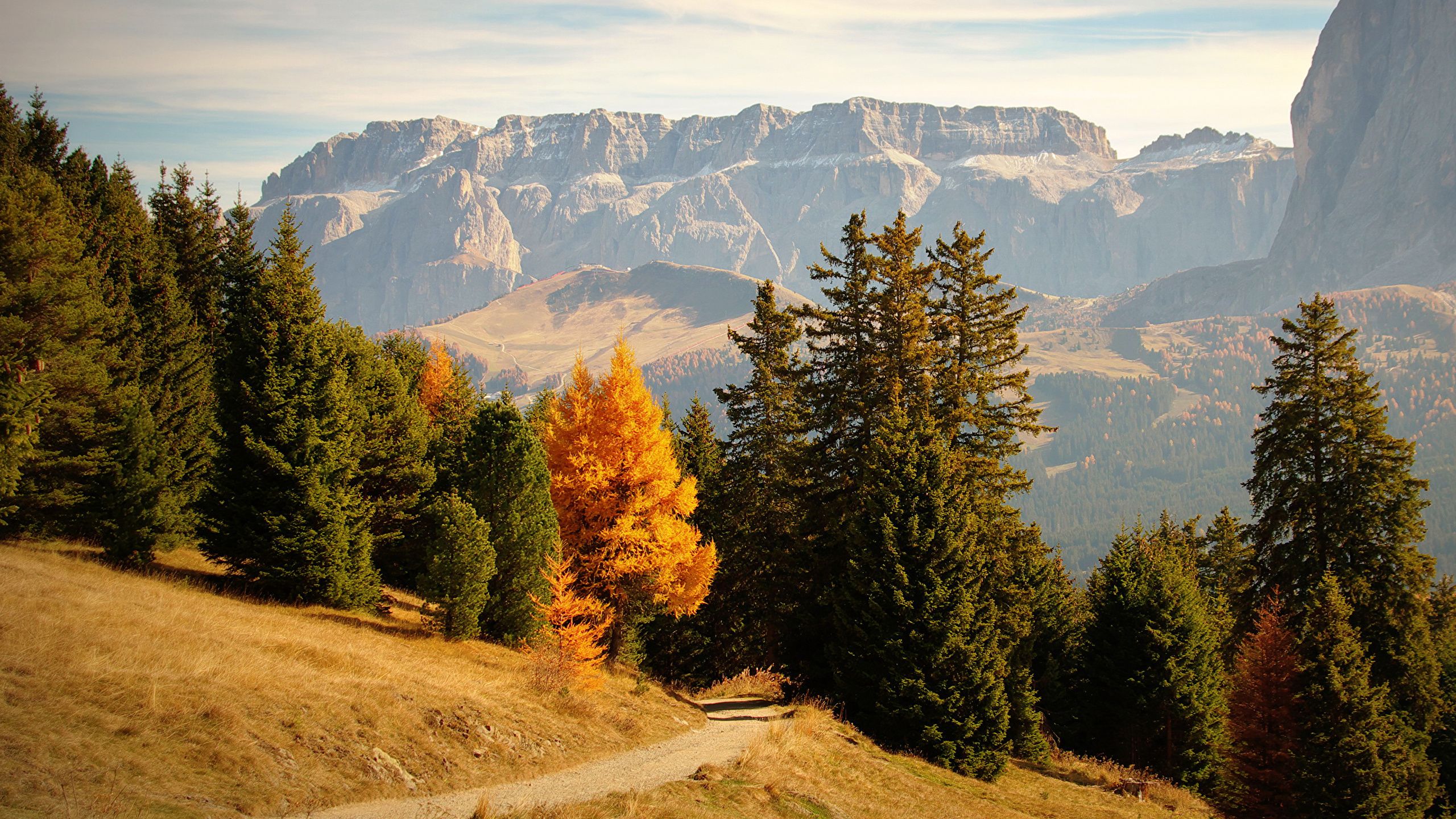 image Italy Bolzano Trail Nature Spruce Autumn Mountains 2560x1440