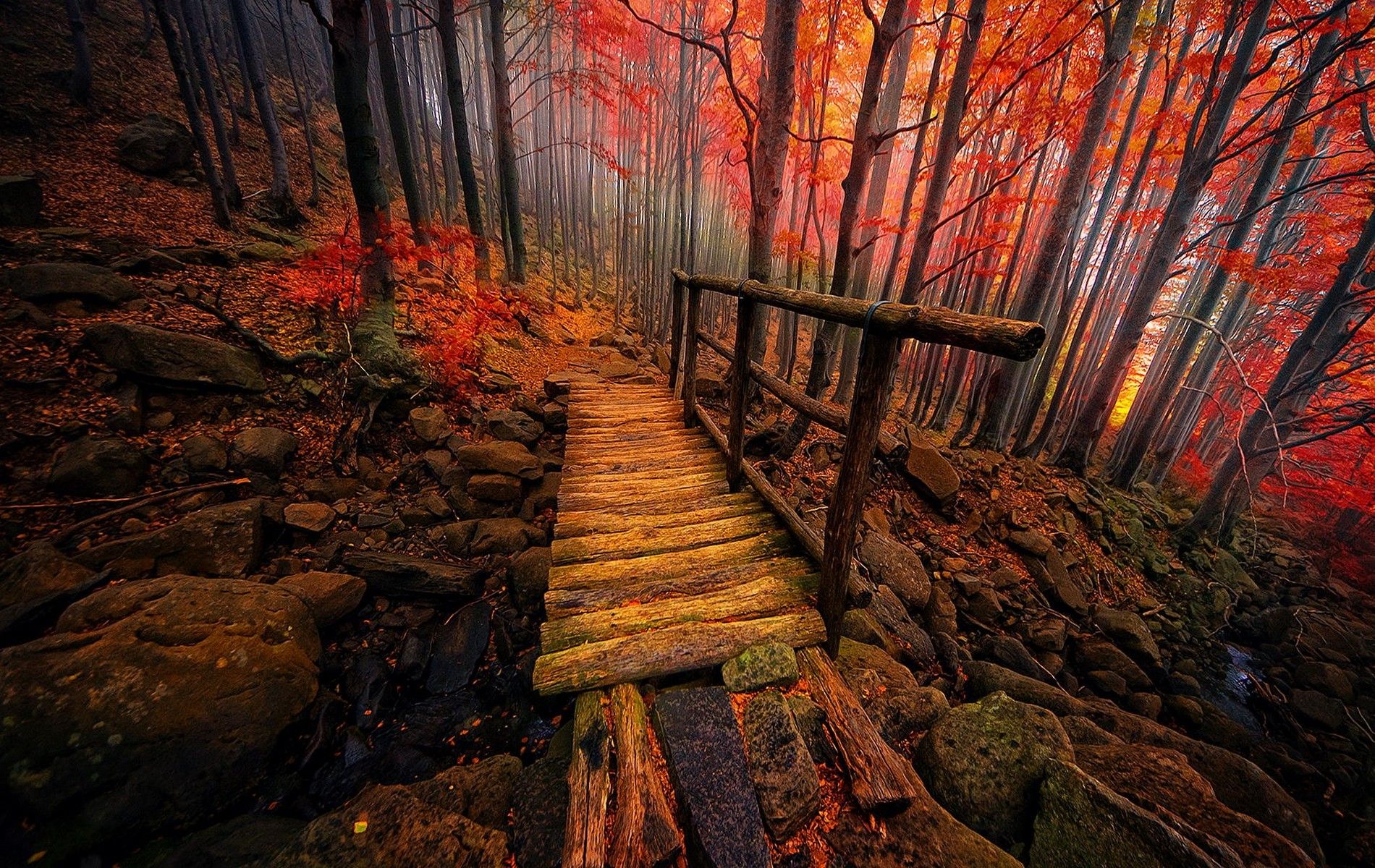#atmosphere, #Italy, #forest, #trees, #bridge, #colorful, #fall, #creeks, #landscape, #mist, #nature, wallpaper. Mocah.org HD Desktop Wallpaper