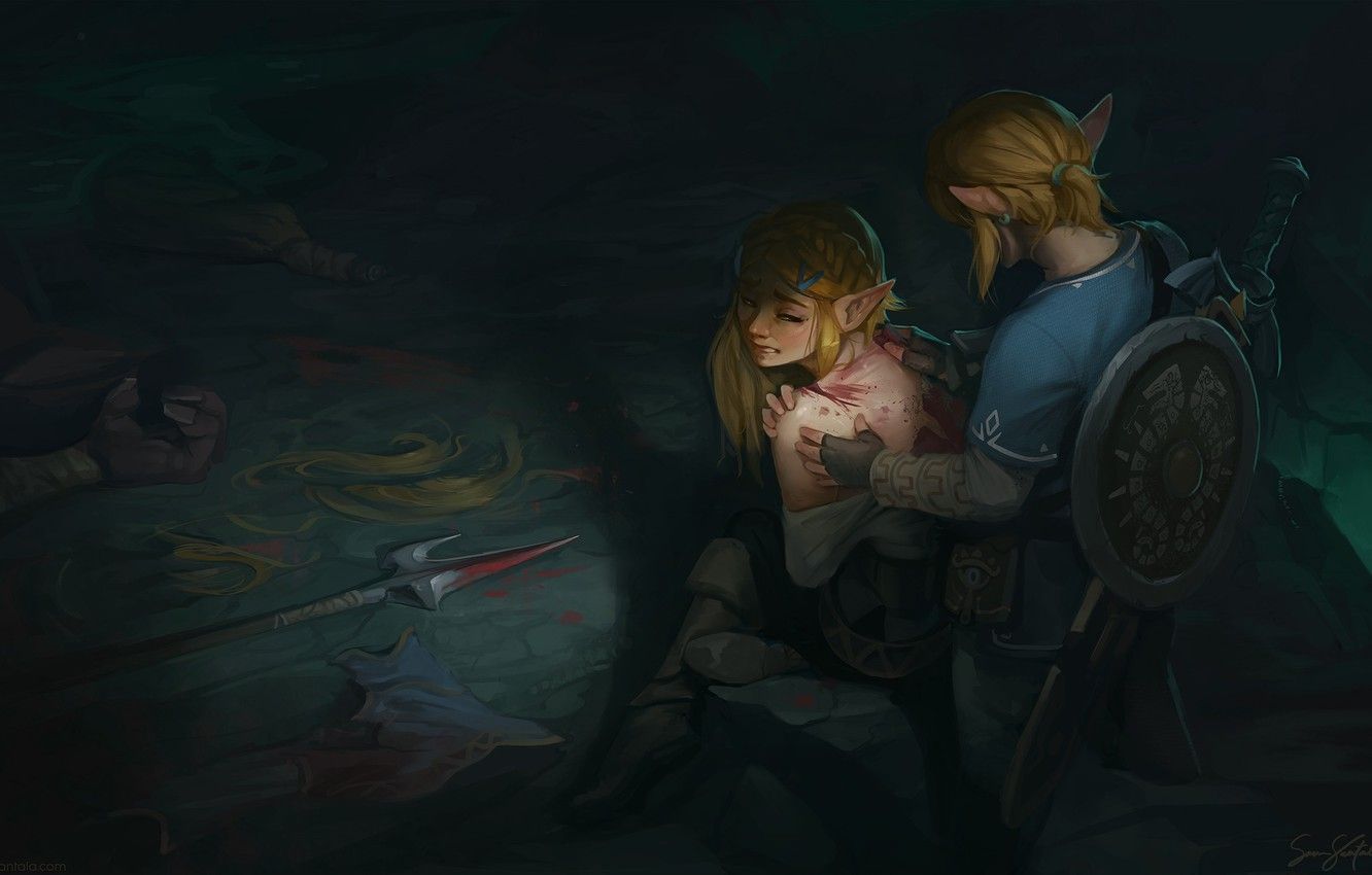 Link Protecting Zelda