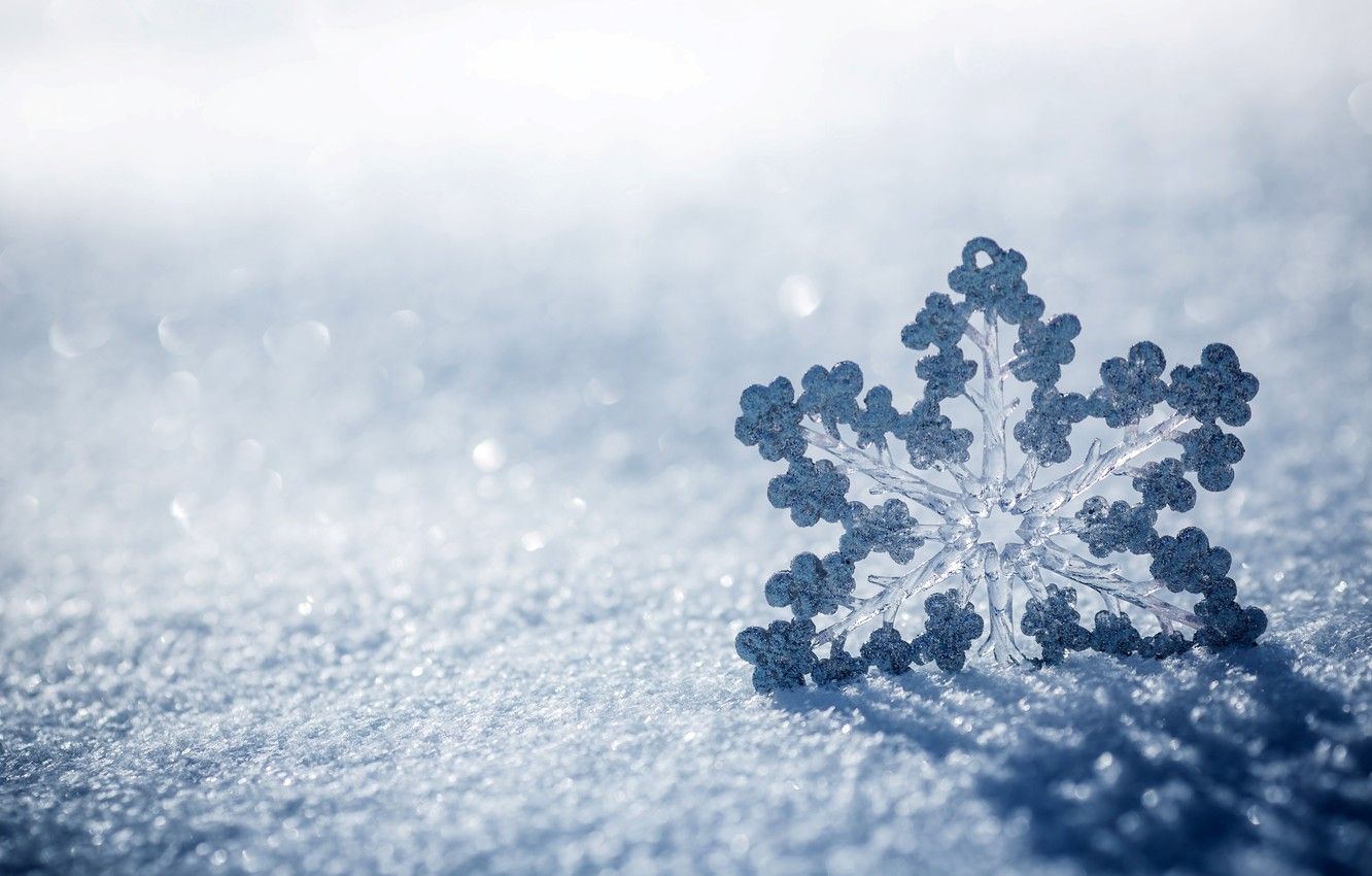 Wallpaper ice, winter, macro, snow, nature, snowflake image for desktop, section макро