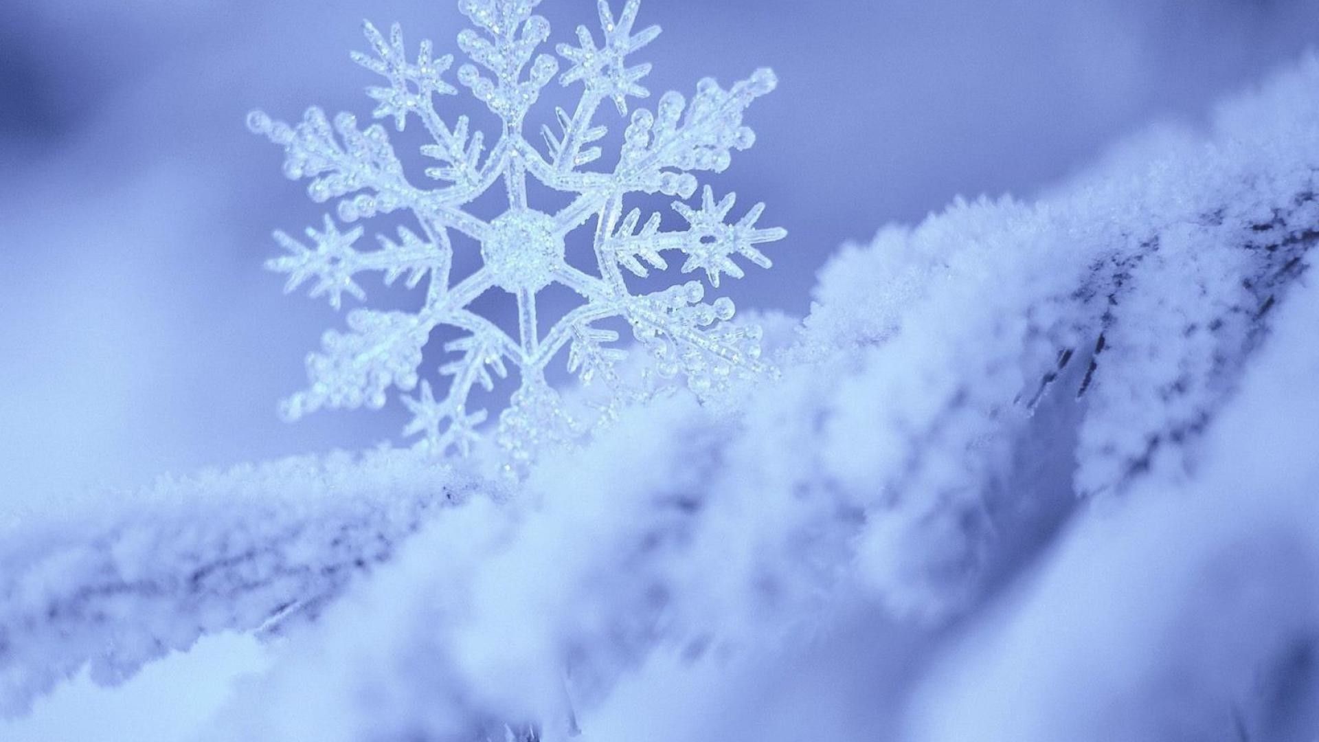 Perfect macro snowflake in the snow winter wallpaper. Beautiful Macro Wallpaper. HD Wallpaper. Snowflake wallpaper, Winter wallpaper, Snowflake photography