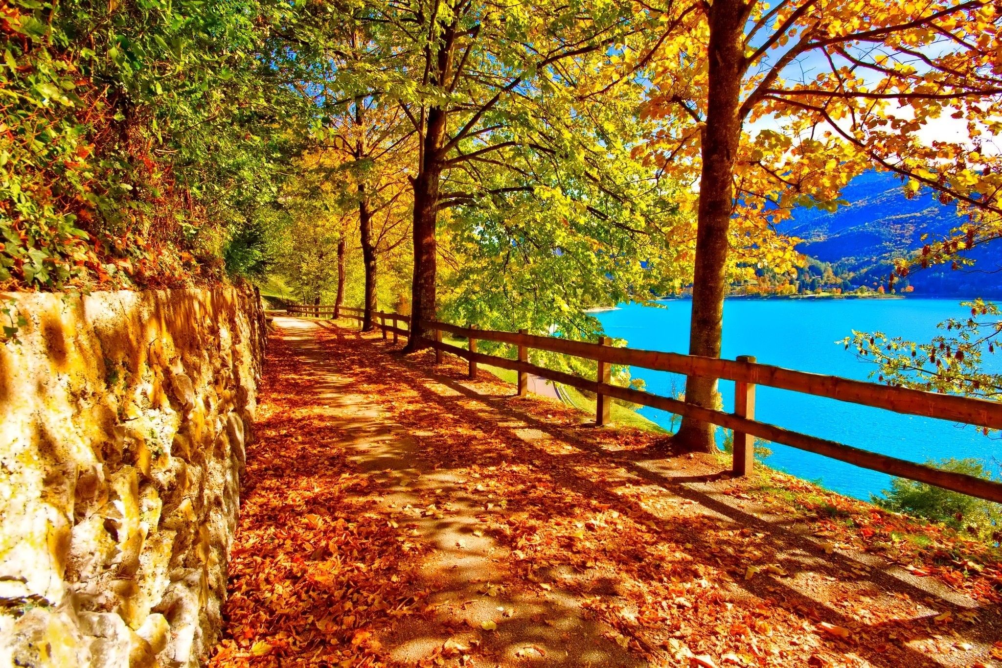 #landscape, #pathway, #fall, #trees, wallpaper. Mocah.org HD Desktop Wallpaper