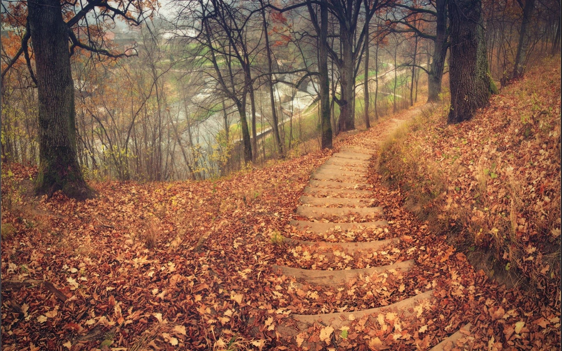 nature, Landscapes, Trees, Forest, Path, Stairs, Tracks, Roads, Leaves, Autumn, Fall, Seasons, Hill Wallpaper HD / Desktop and Mobile Background