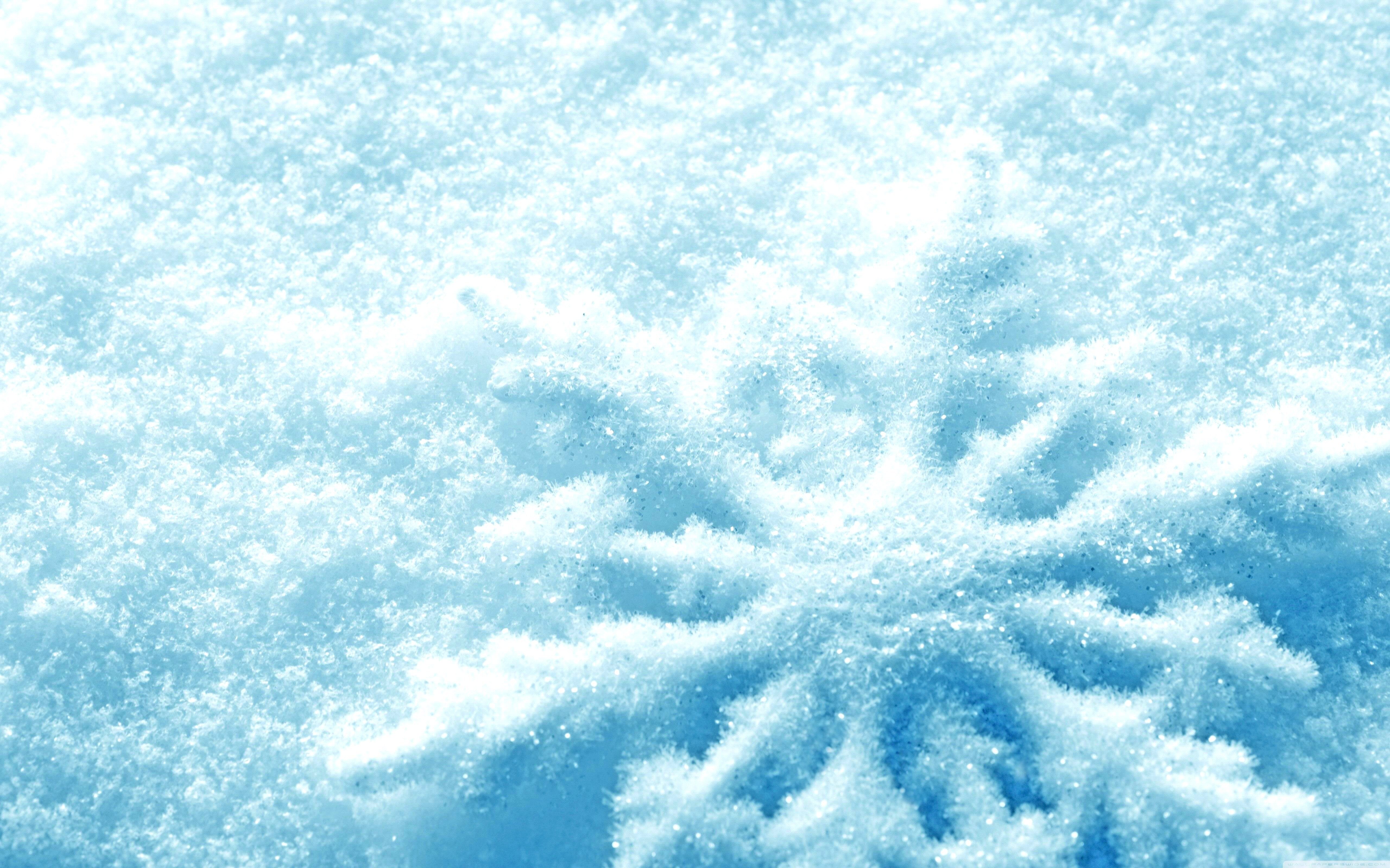#macro, #nature, #winter, #snow, #snowflakes, wallpaper. Mocah.org HD Wallpaper