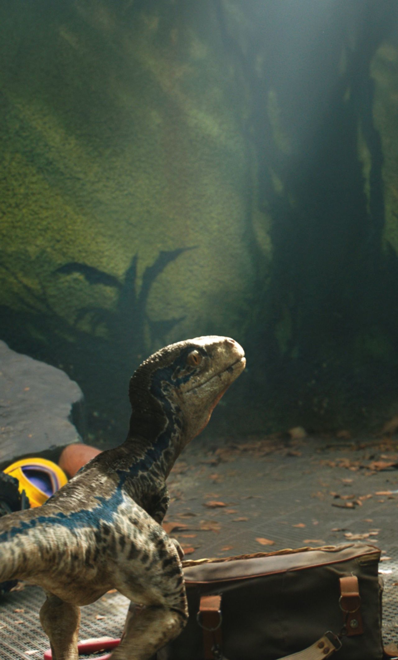 Chris Pratt And Little Raptor Jurassic World iPhone 6 plus Wallpaper, HD Movies 4K Wallpaper, Image, Photo and Background