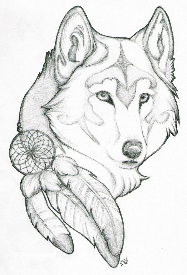 Wolf Drawing Ideas Wallpaper. Best Wallpaper. Drawings, Wolf tattoo design, Sketches