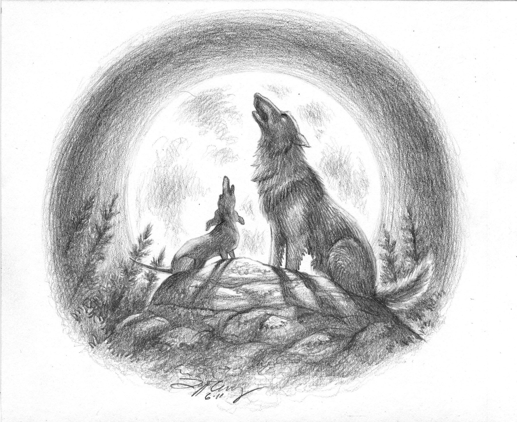 11+ Pencil Wolf Drawing