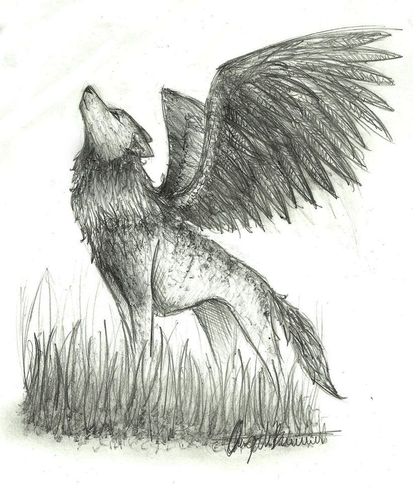 Sketch Winged Wolf. Dog drawing simple, Cats art drawing, Dog drawing