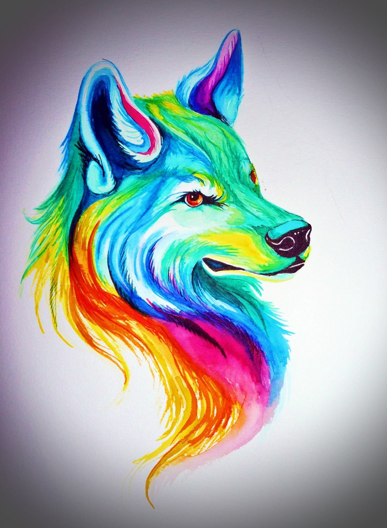 Watercolor Wolf. Wolf painting, Watercolor wolf, Wolf drawing