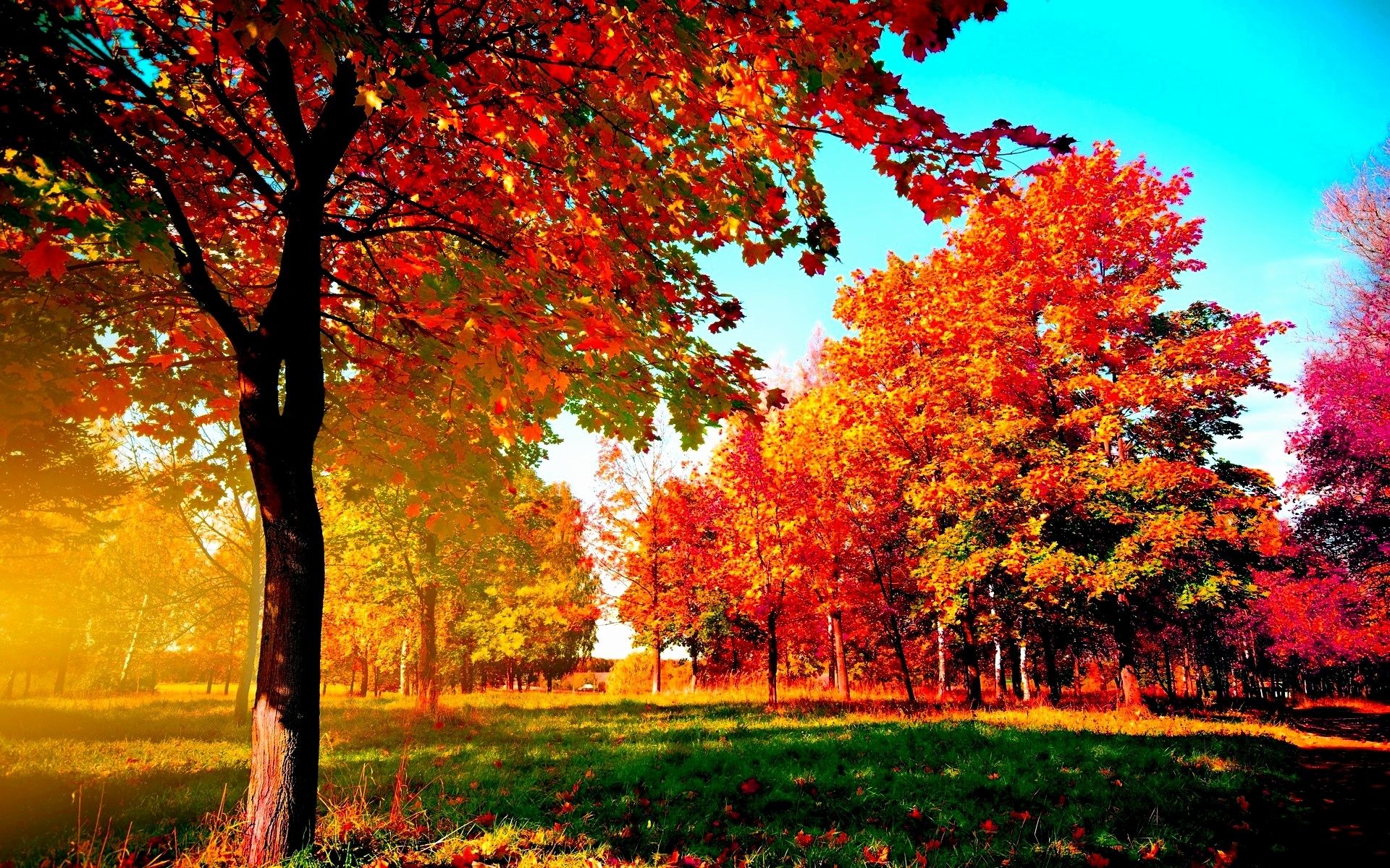 Fall Screensaver Best Of Latest top HD Autumn Wallpaper This Month of The Hudson