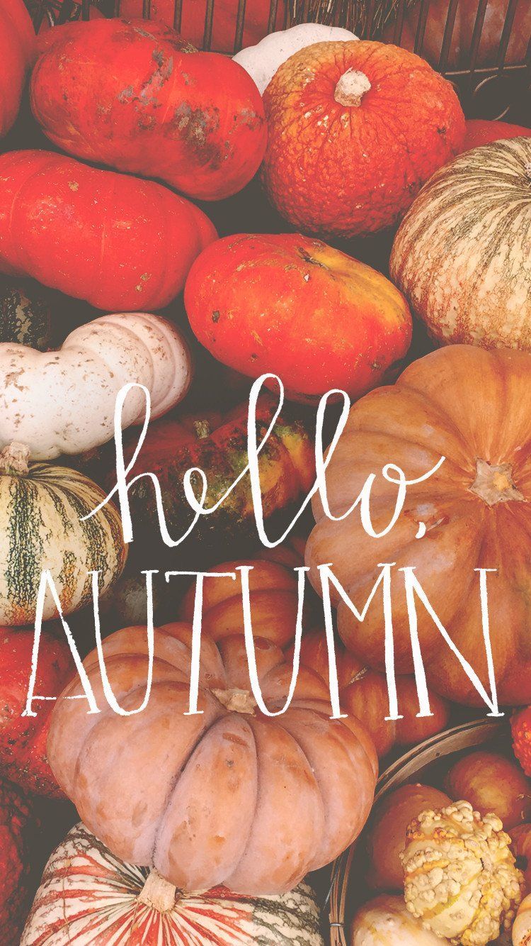 HELLO, AUTUMN. Hello autumn, Fall wallpaper, Autumn inspiration