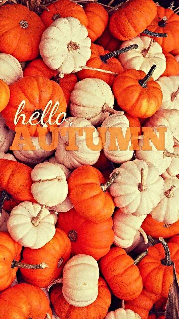 Hello Autumn wallpaper