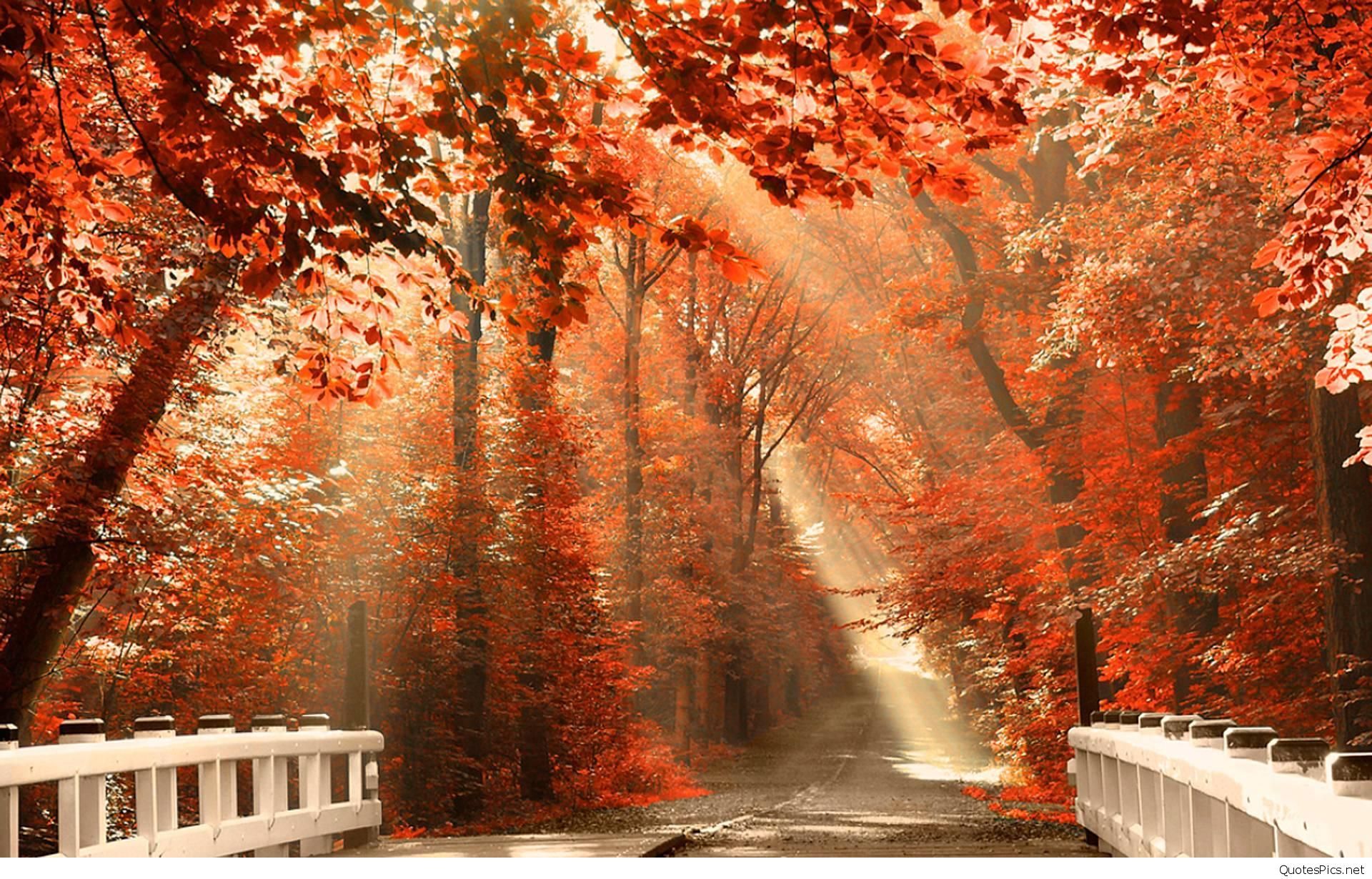 Hello Autumn Season Nature Wallpaper Background