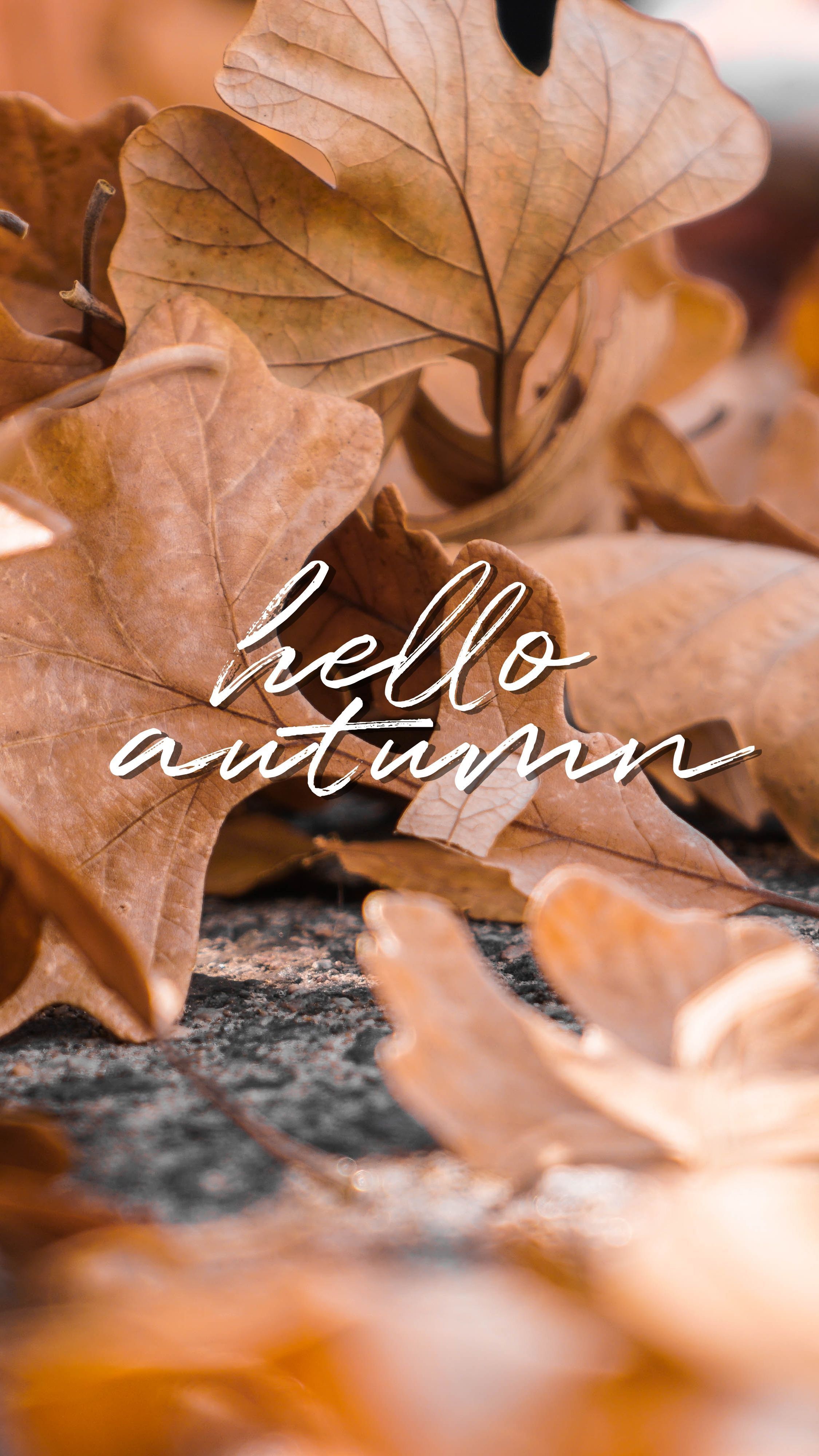 Fond d'écran # 7 Bonjour l'automne. Fall wallpaper, Cute fall wallpaper, Hello autumn