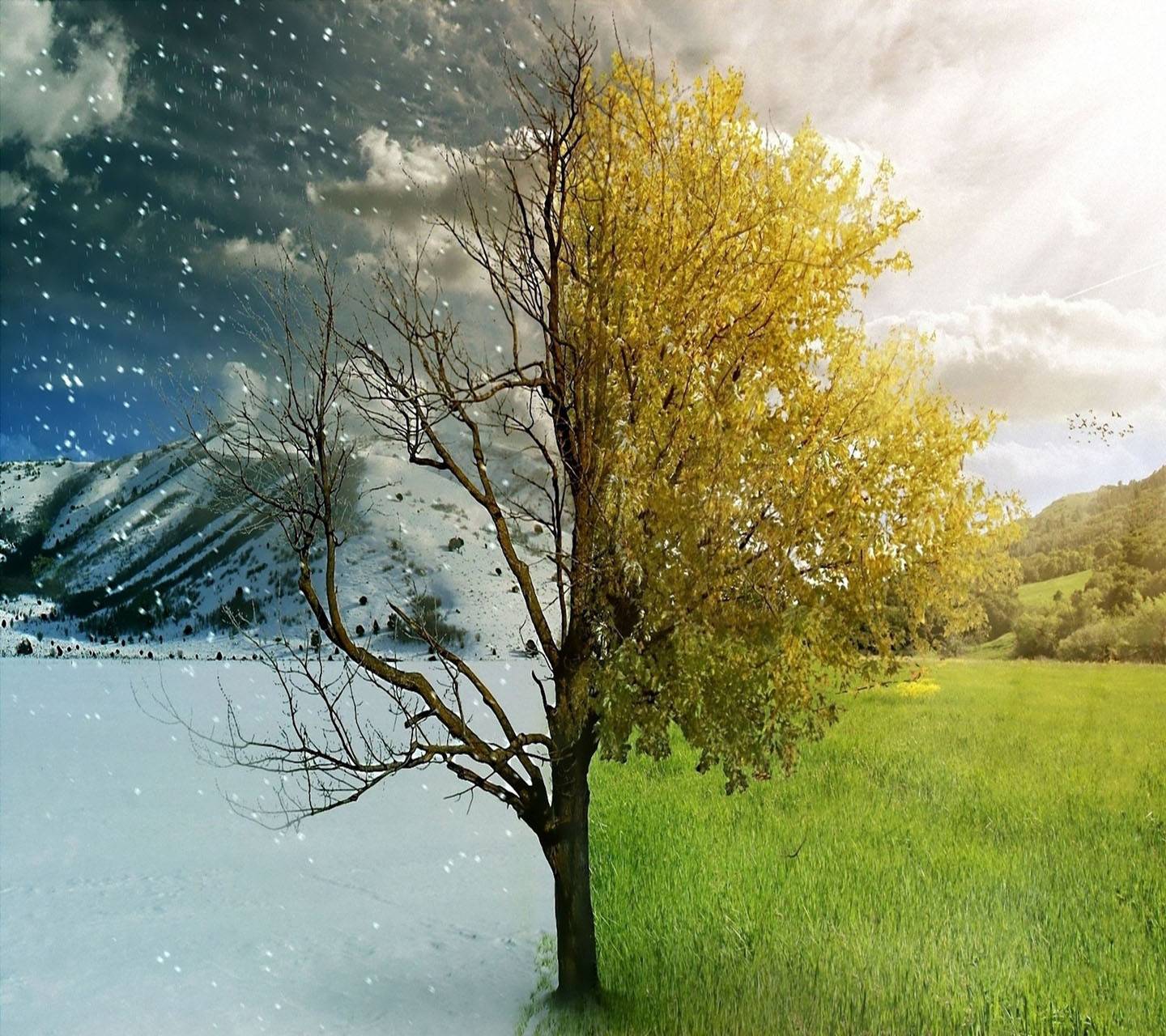 Winter Vs Summer Wallpapers Wallpaper Cave Winter Vs Summer Wallpapers Wallpaper Cave
