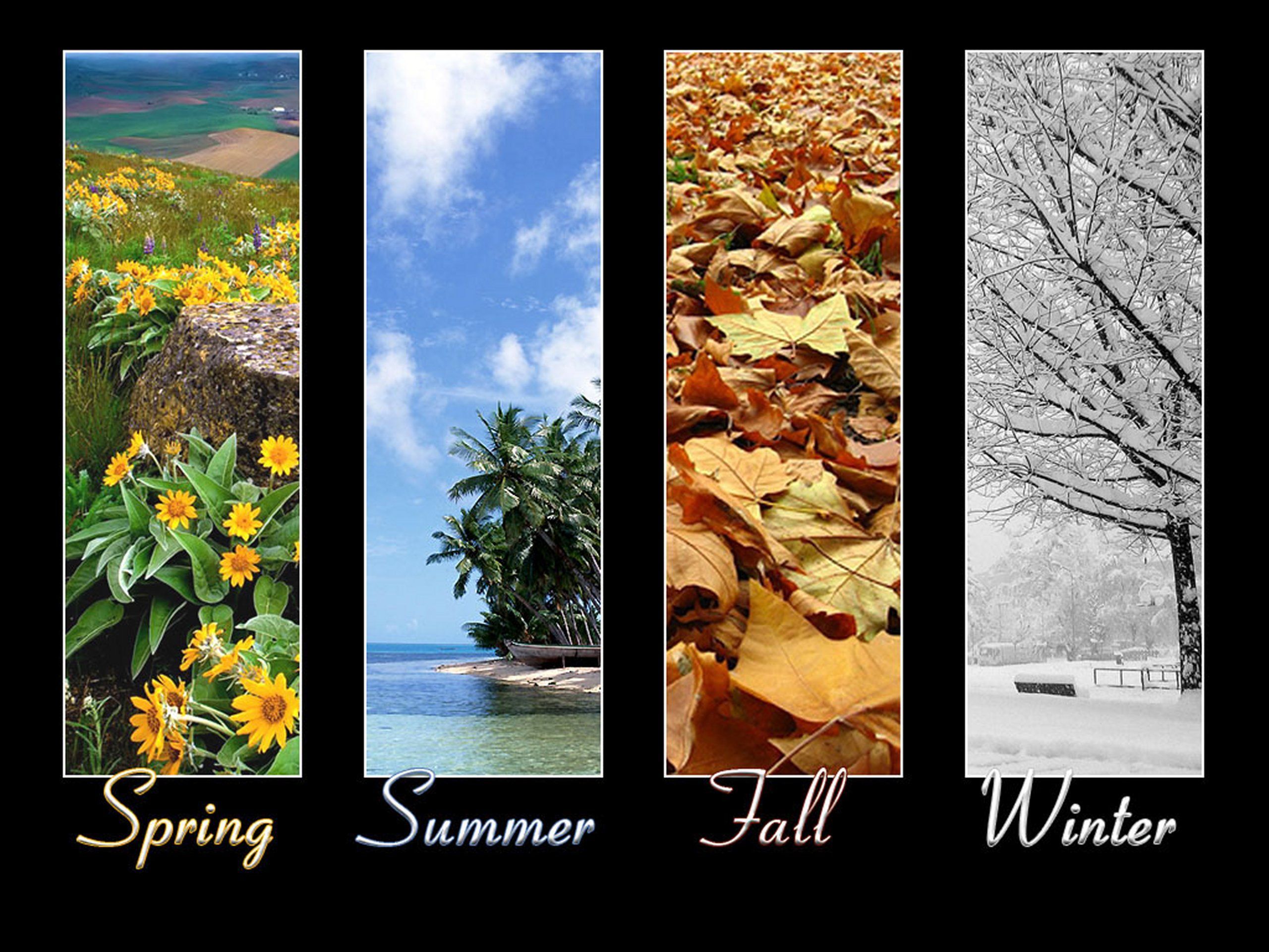 Seasons Wallpaper Free Seasons Background